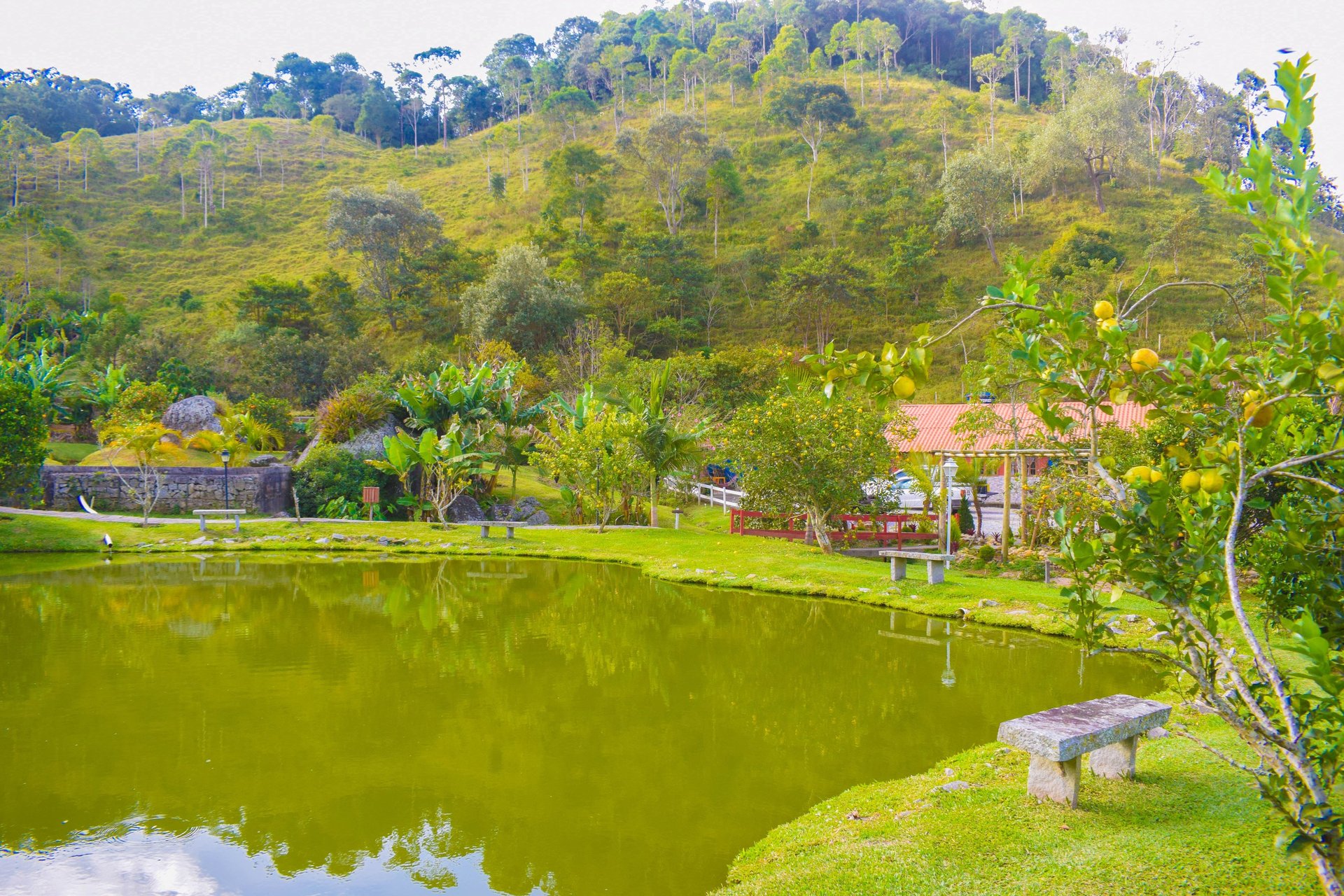 woman wearing yellow long-sleeved dress under white clouds and blue sky during daytime