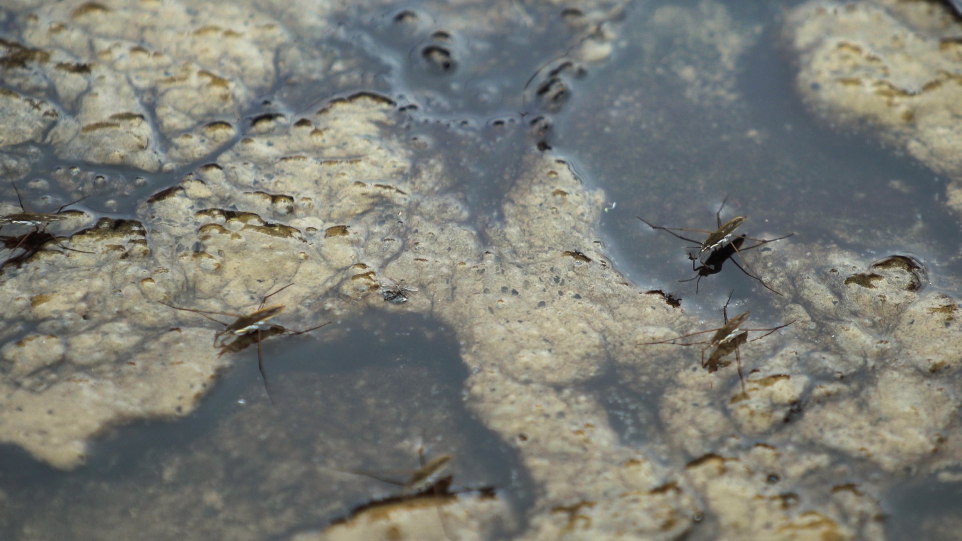 an abstract photo of a curved building with a blue sky in the background