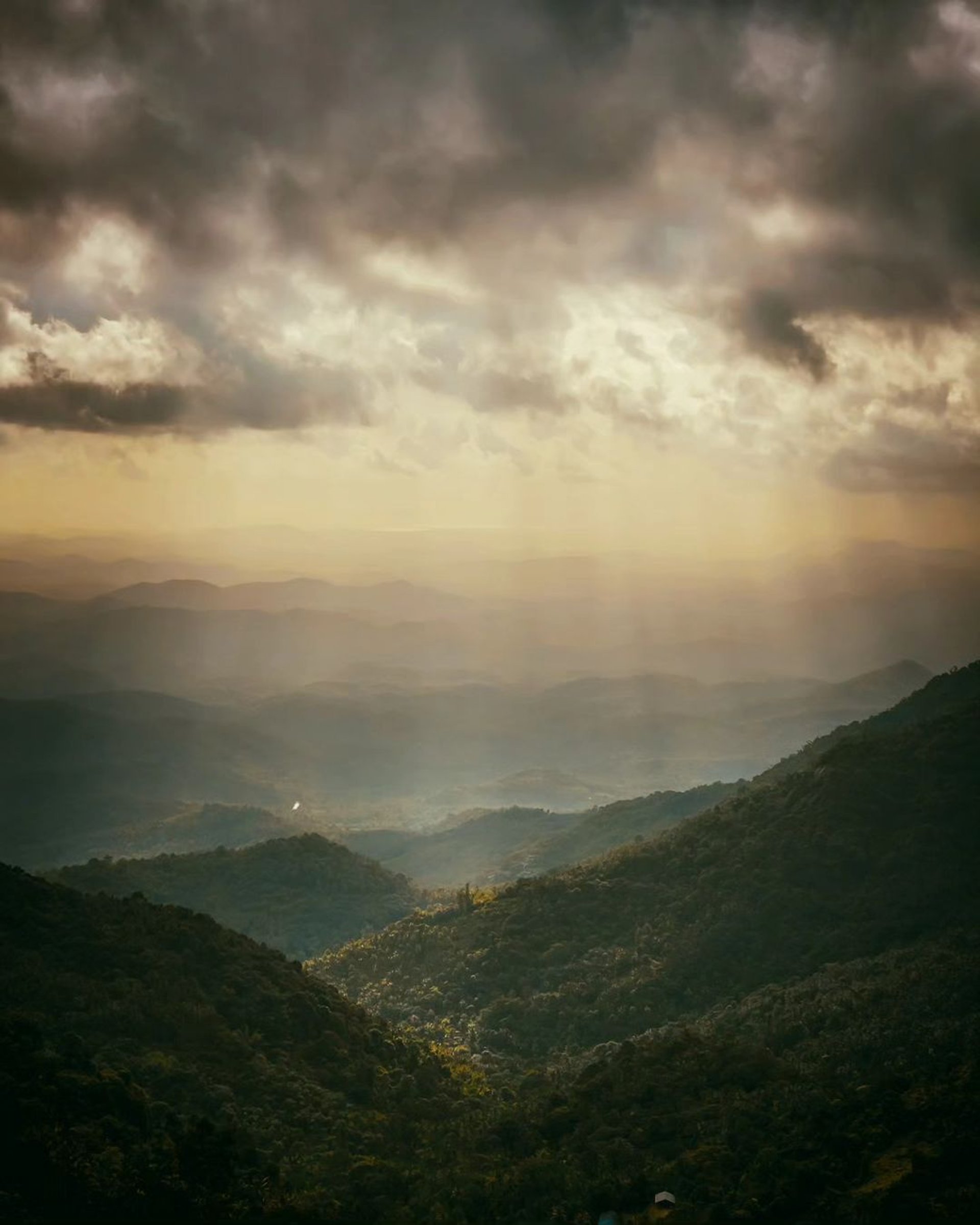 black and white bed linen