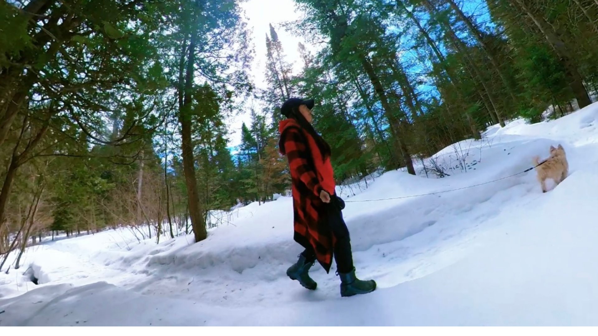 black and brown leather padded tub sofa