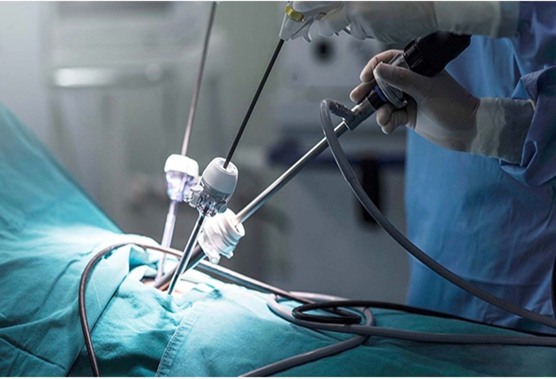 person wearing gold wedding band