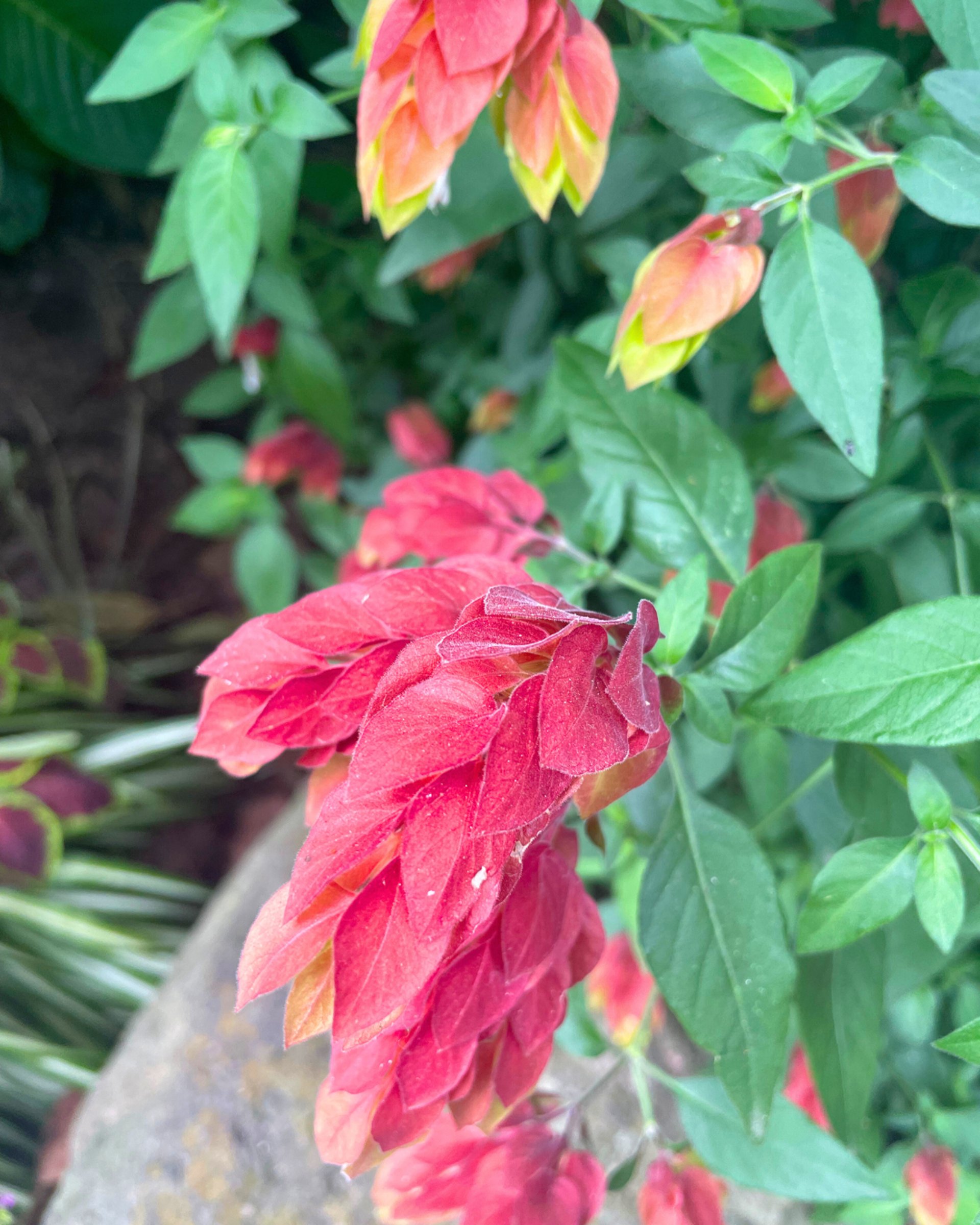 black blue and yellow textile