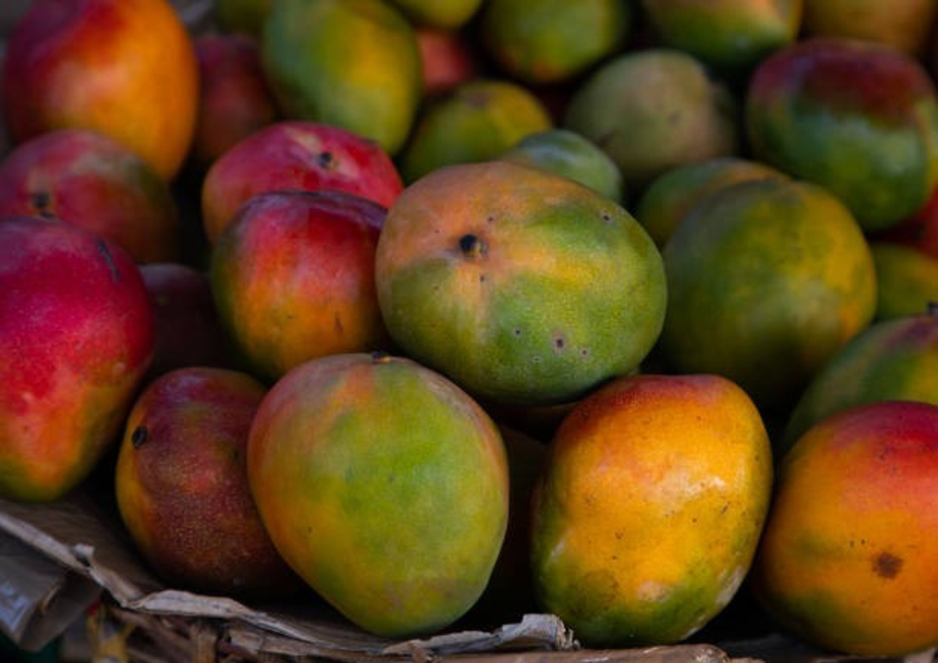 red and yellow round fruits