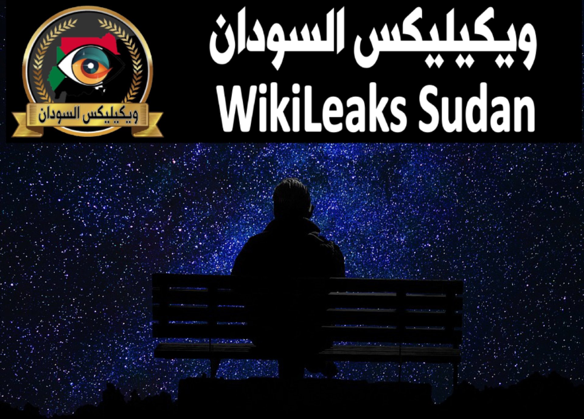 black and brown leather padded tub sofa