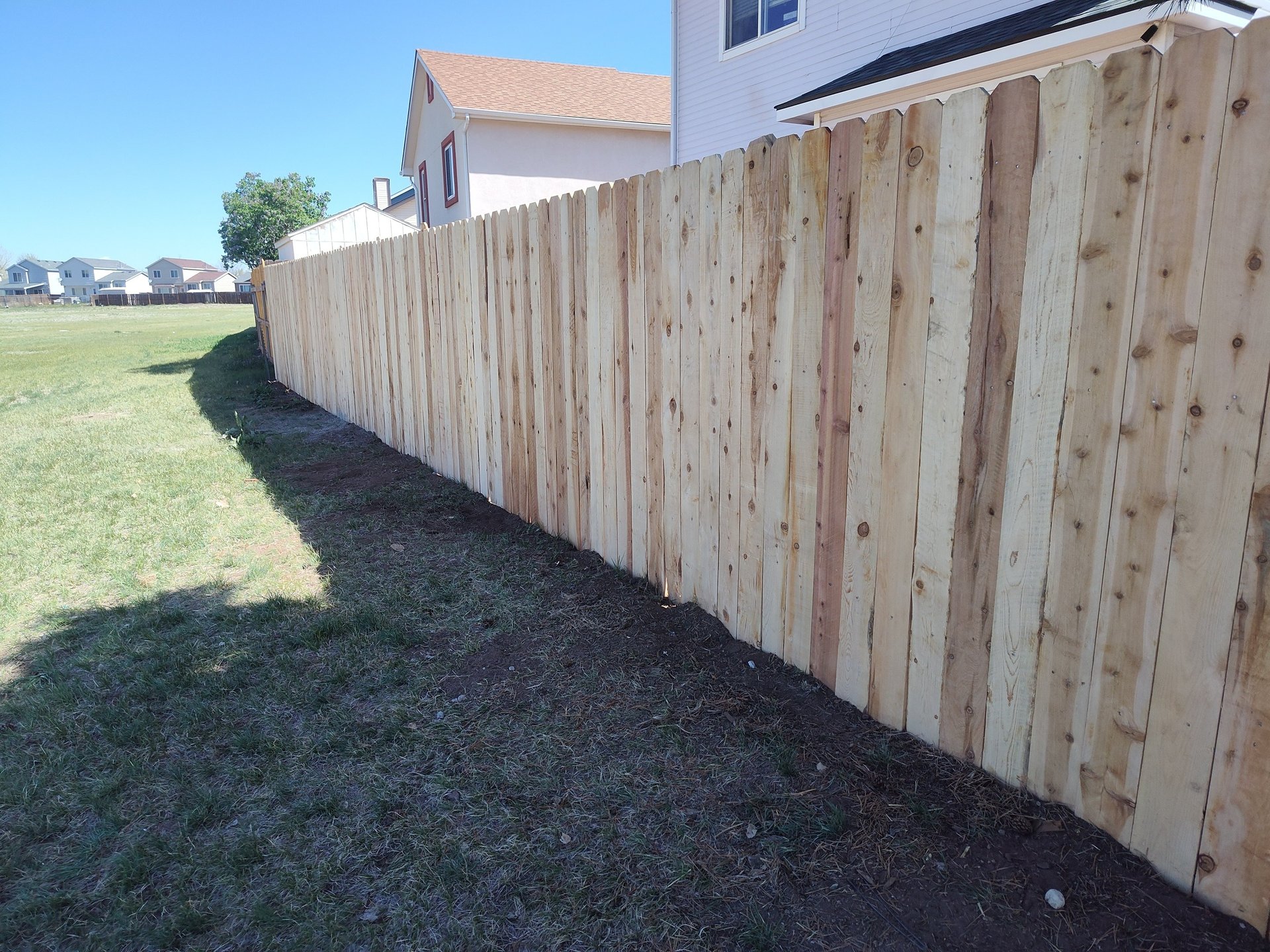 green grass beside brown wooden fence