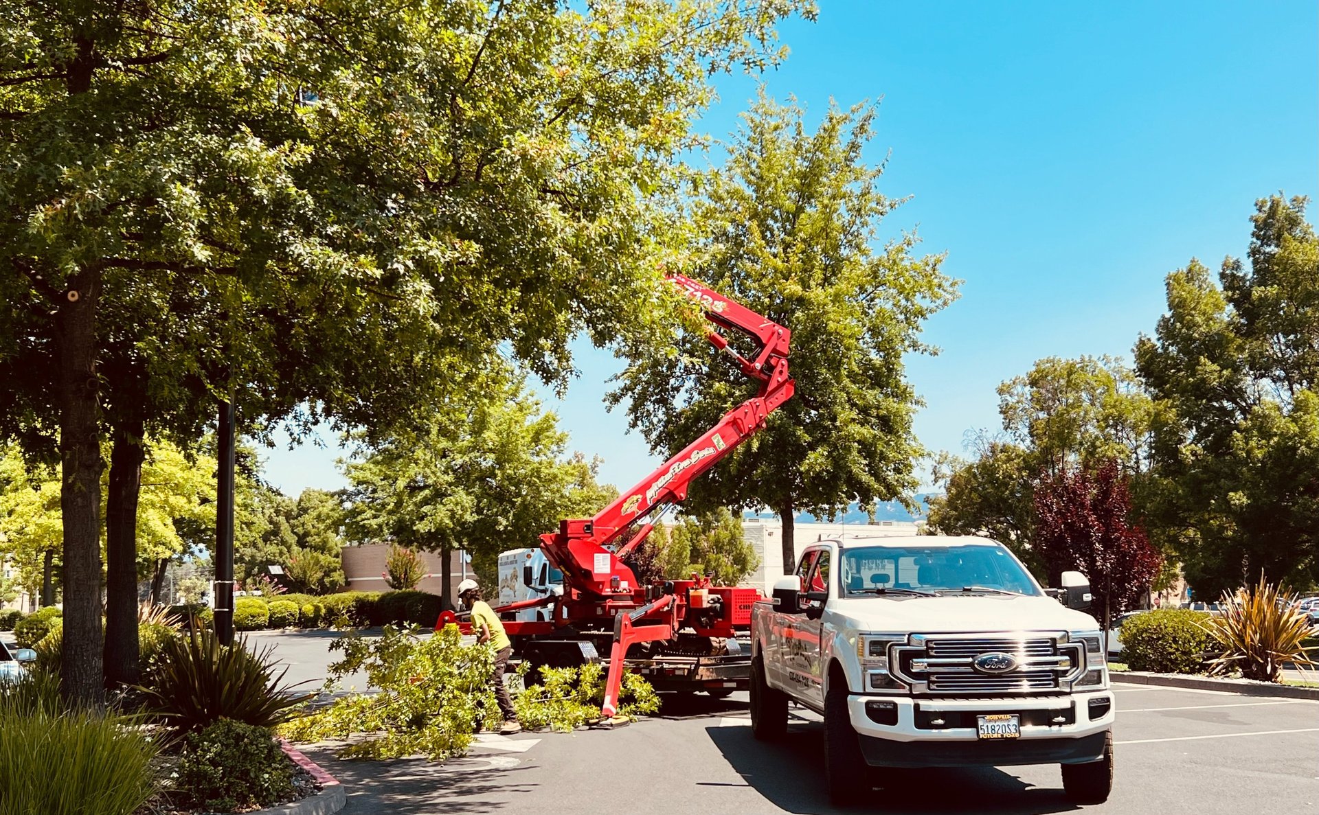 black and brown leather padded tub sofa