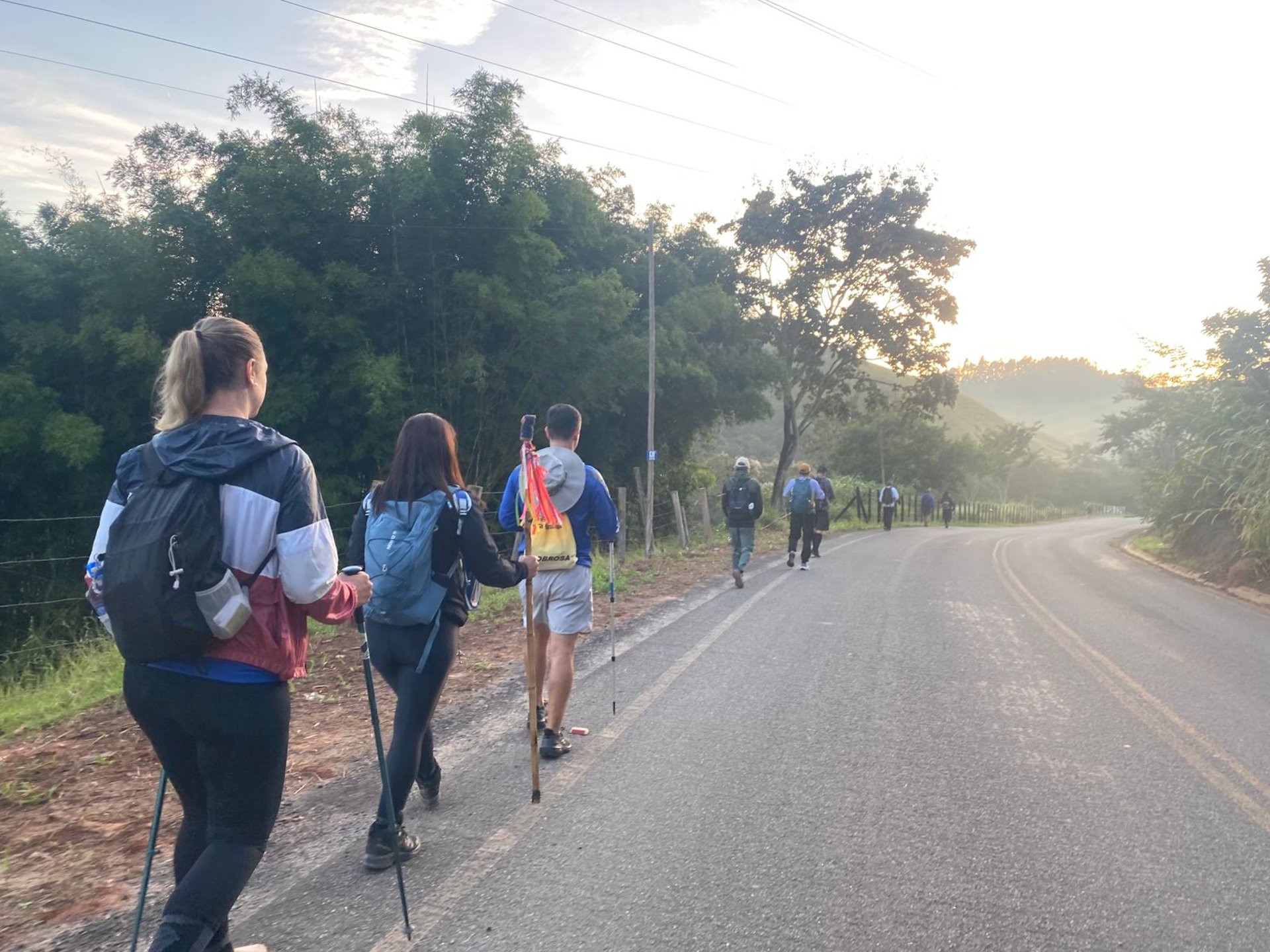black blue and yellow textile