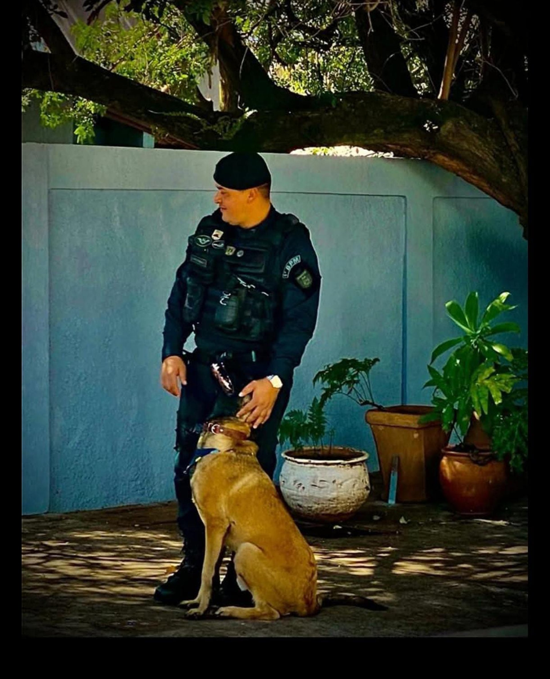 black and tan german shepherd running on field during daytime