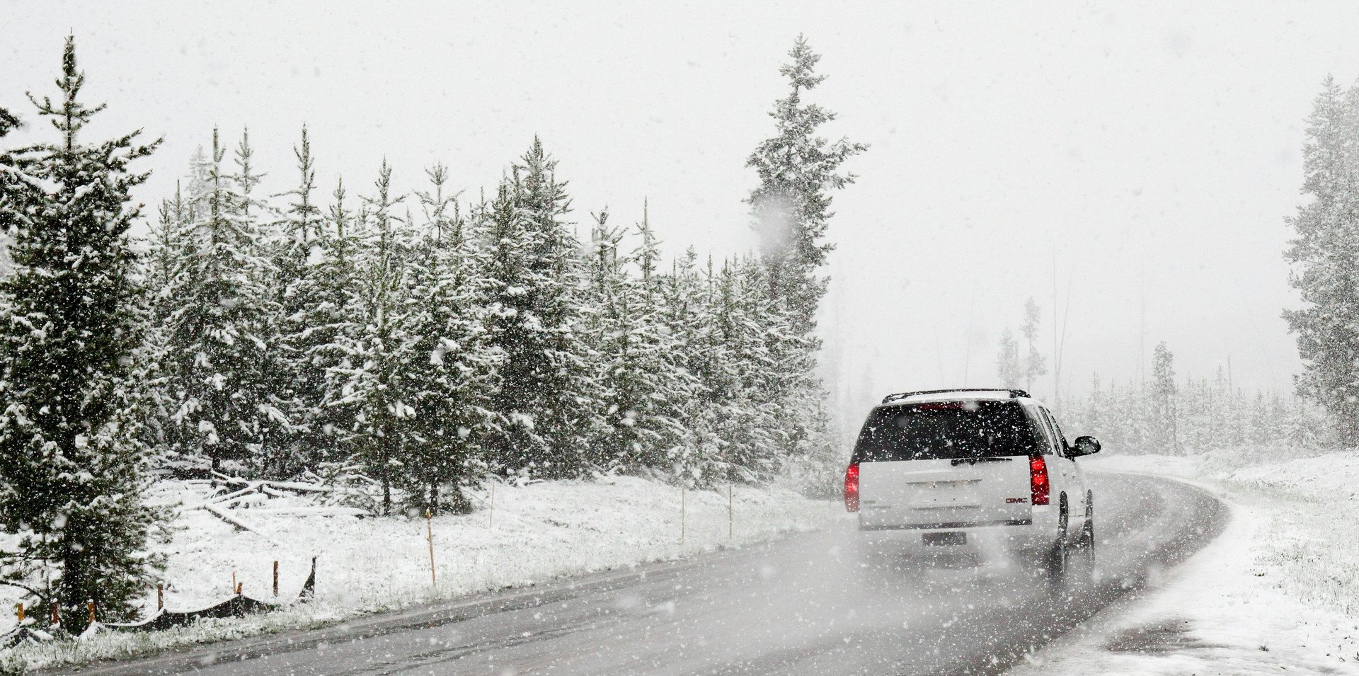 black vehicle near snow covered trees