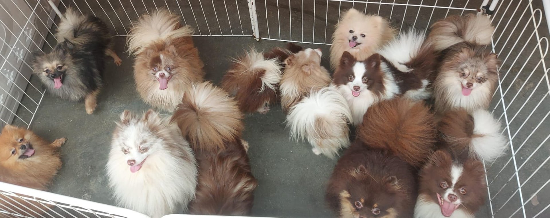 woman wearing yellow long-sleeved dress under white clouds and blue sky during daytime