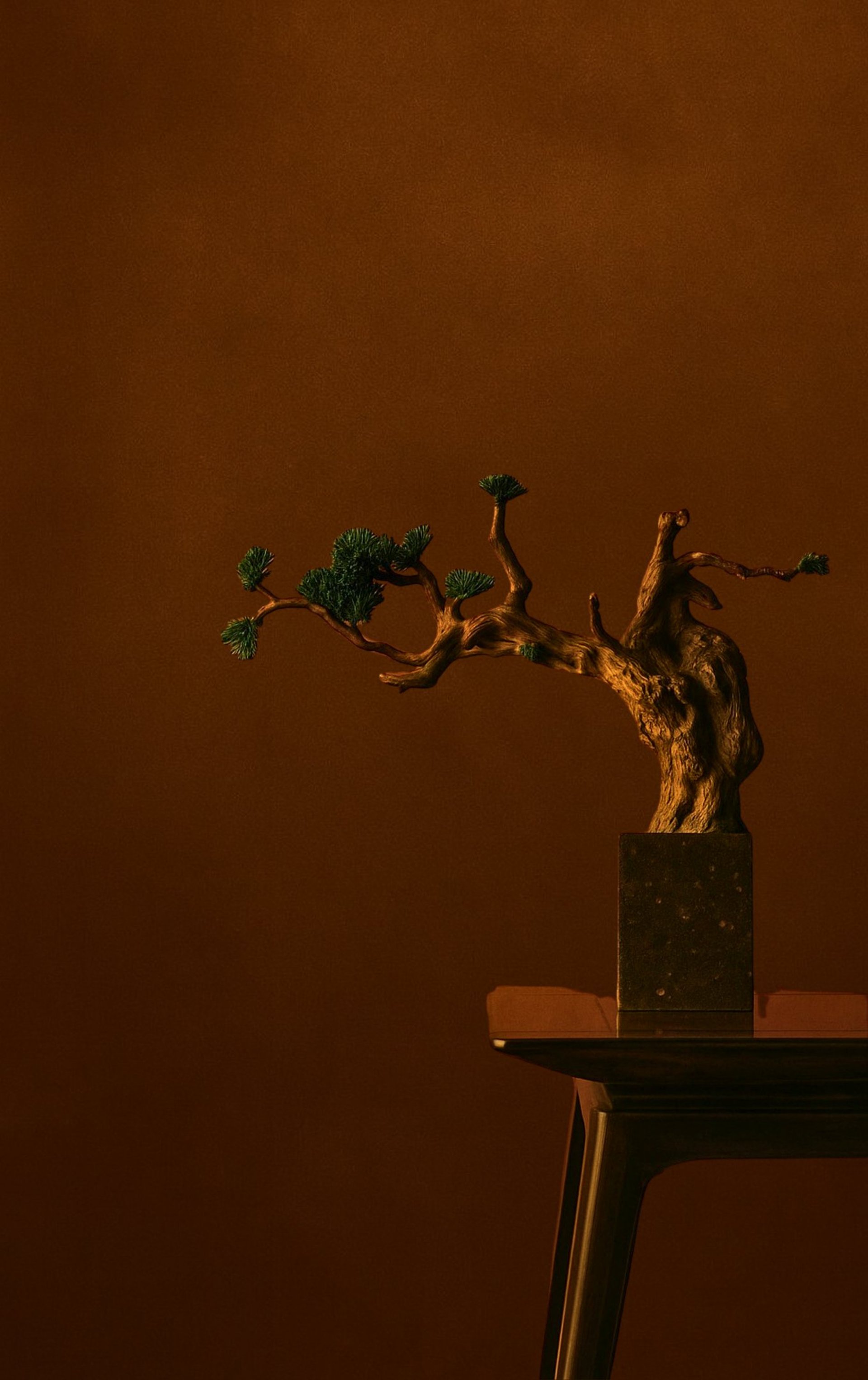 top angle photography of cup