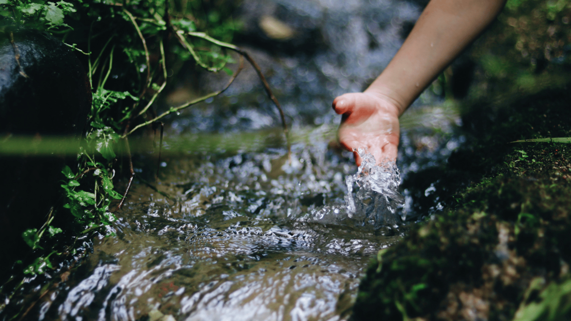 hand touching a water spring in nature
