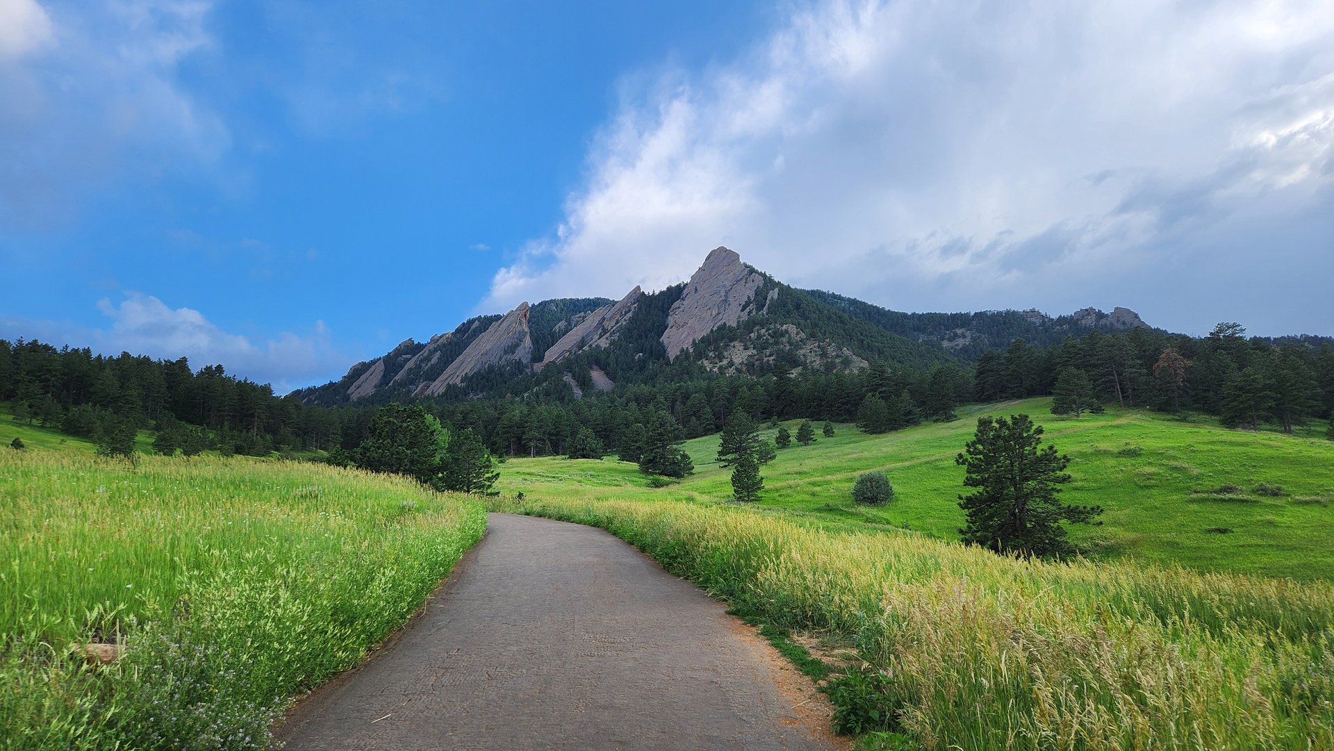A variety of handyman tools that can be used to solve plumbing problems at a client's house