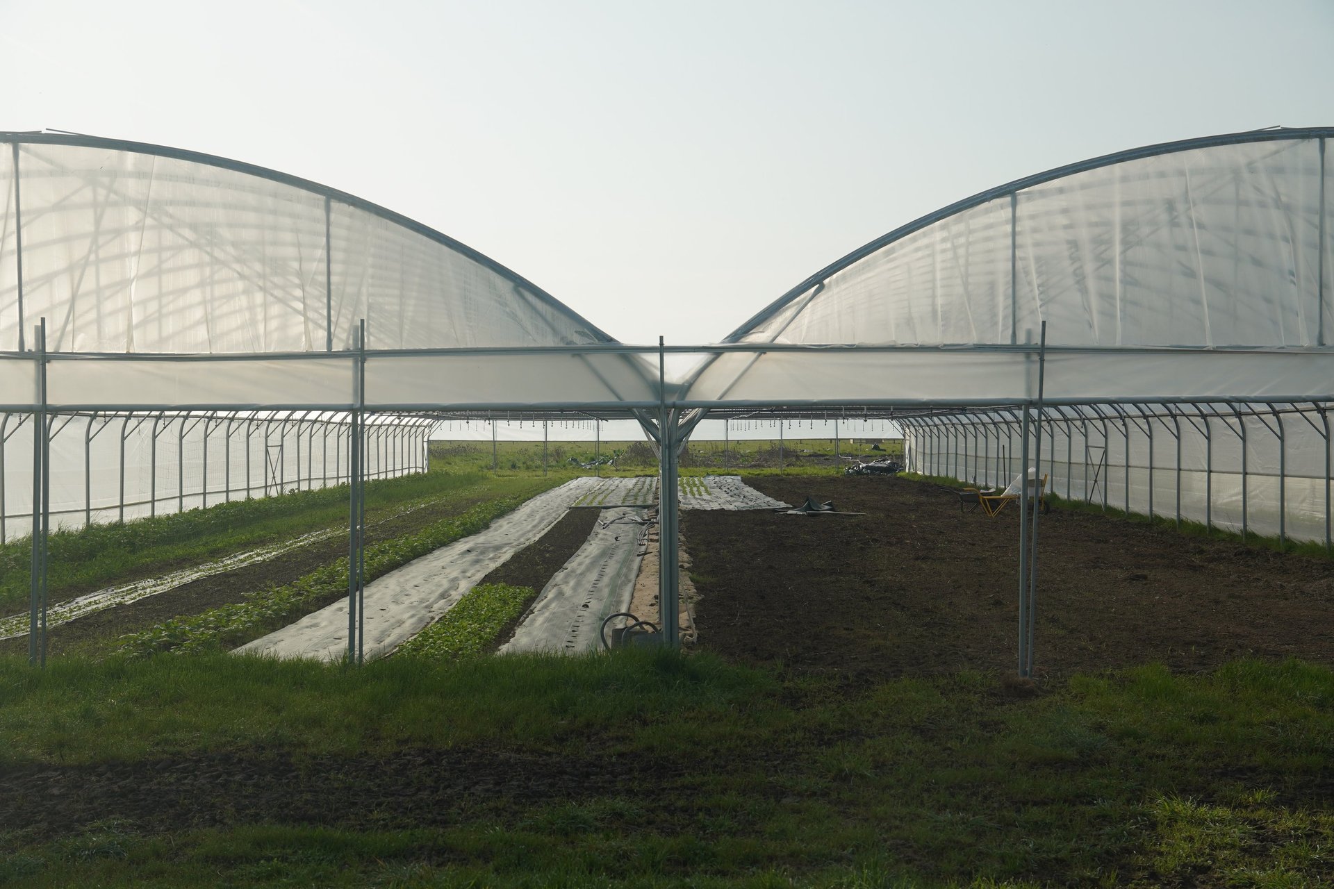 black and white bed linen