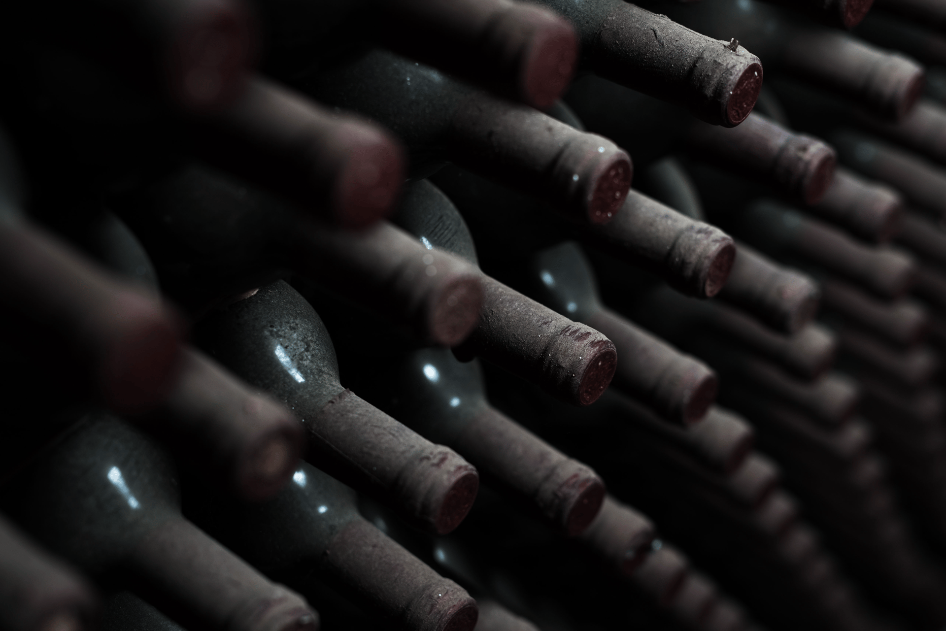 black and white bottles on brown wooden shelf