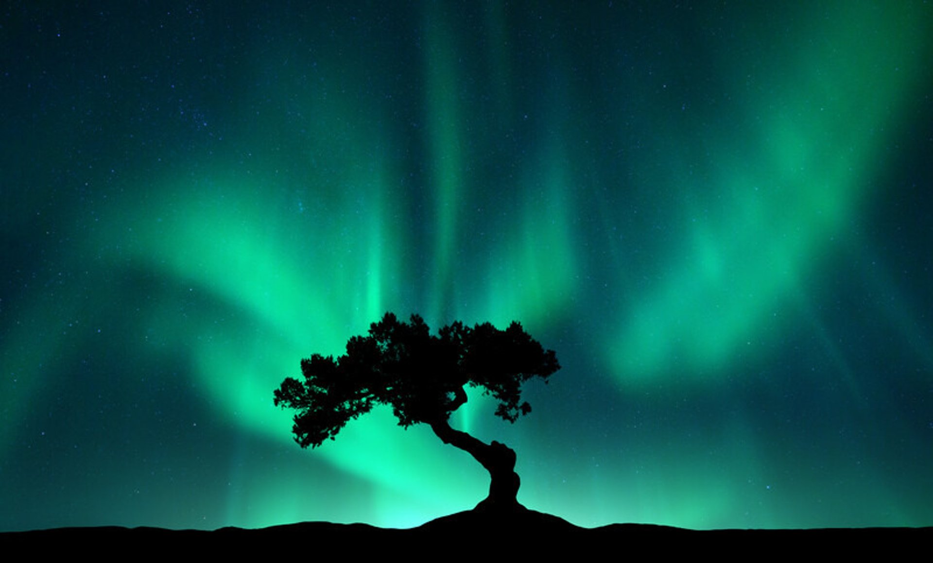 Green aurora borealis lights up the night sky.
