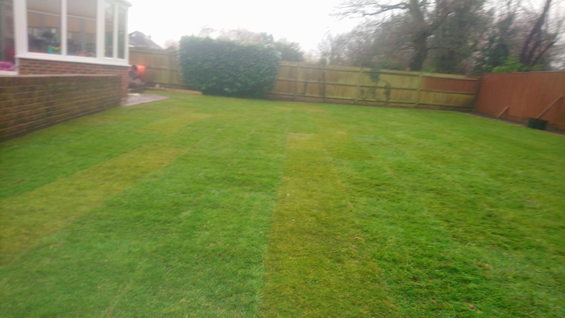 woman wearing yellow long-sleeved dress under white clouds and blue sky during daytime