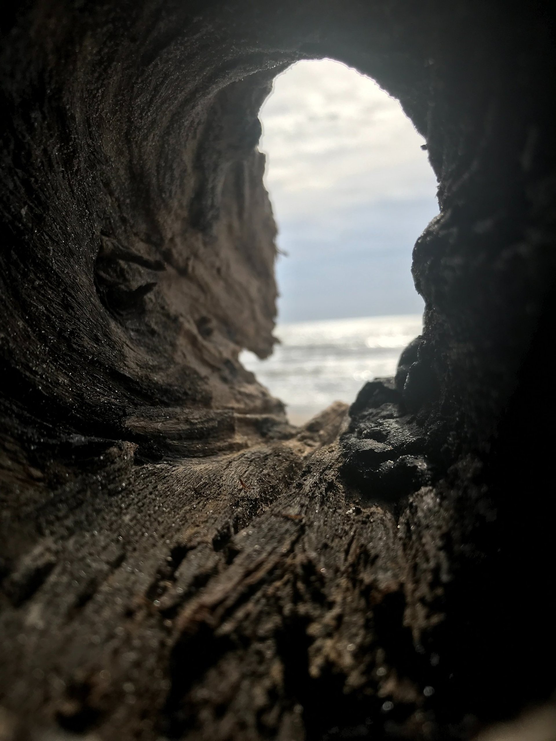 gray computer monitor