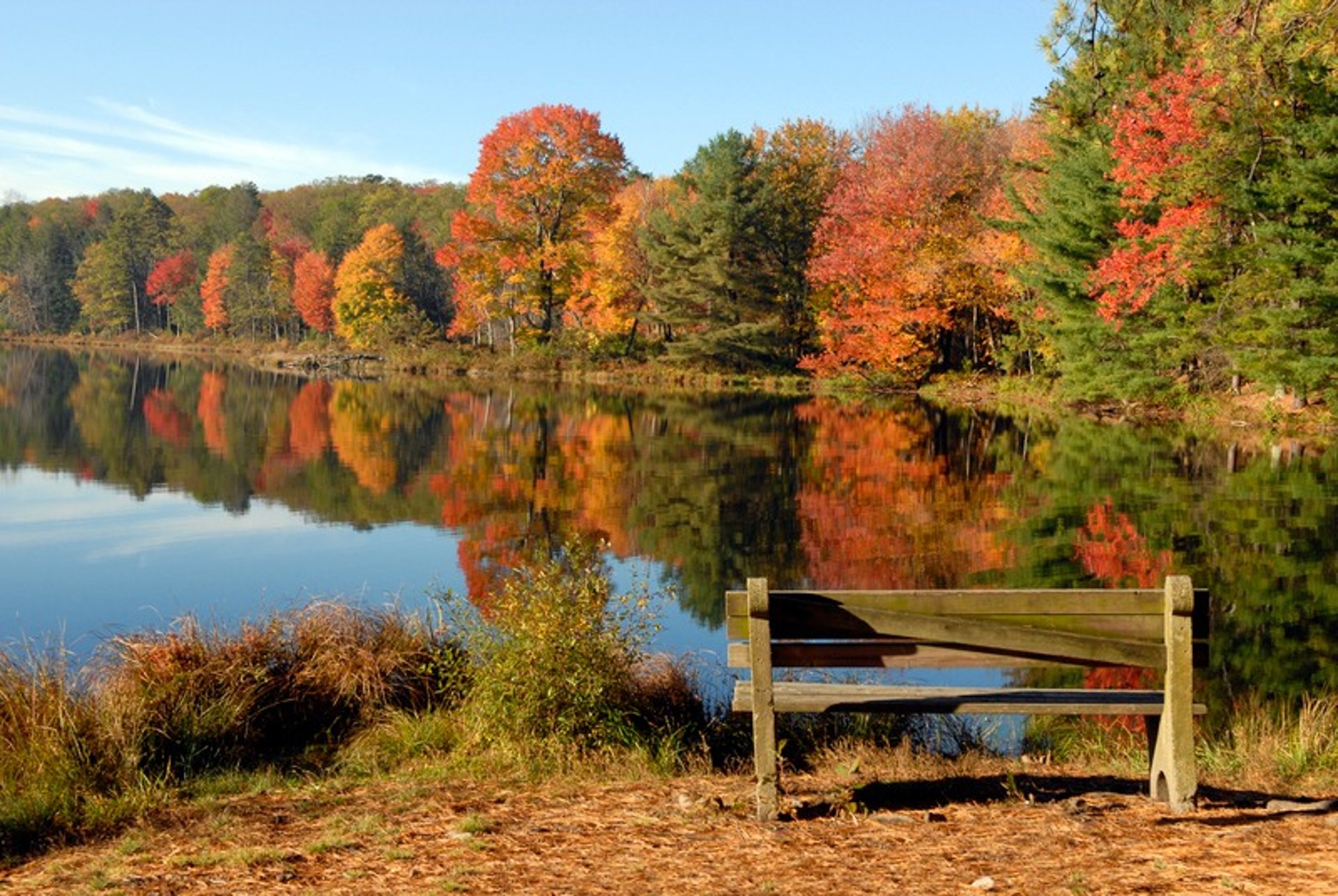 black blue and yellow textile