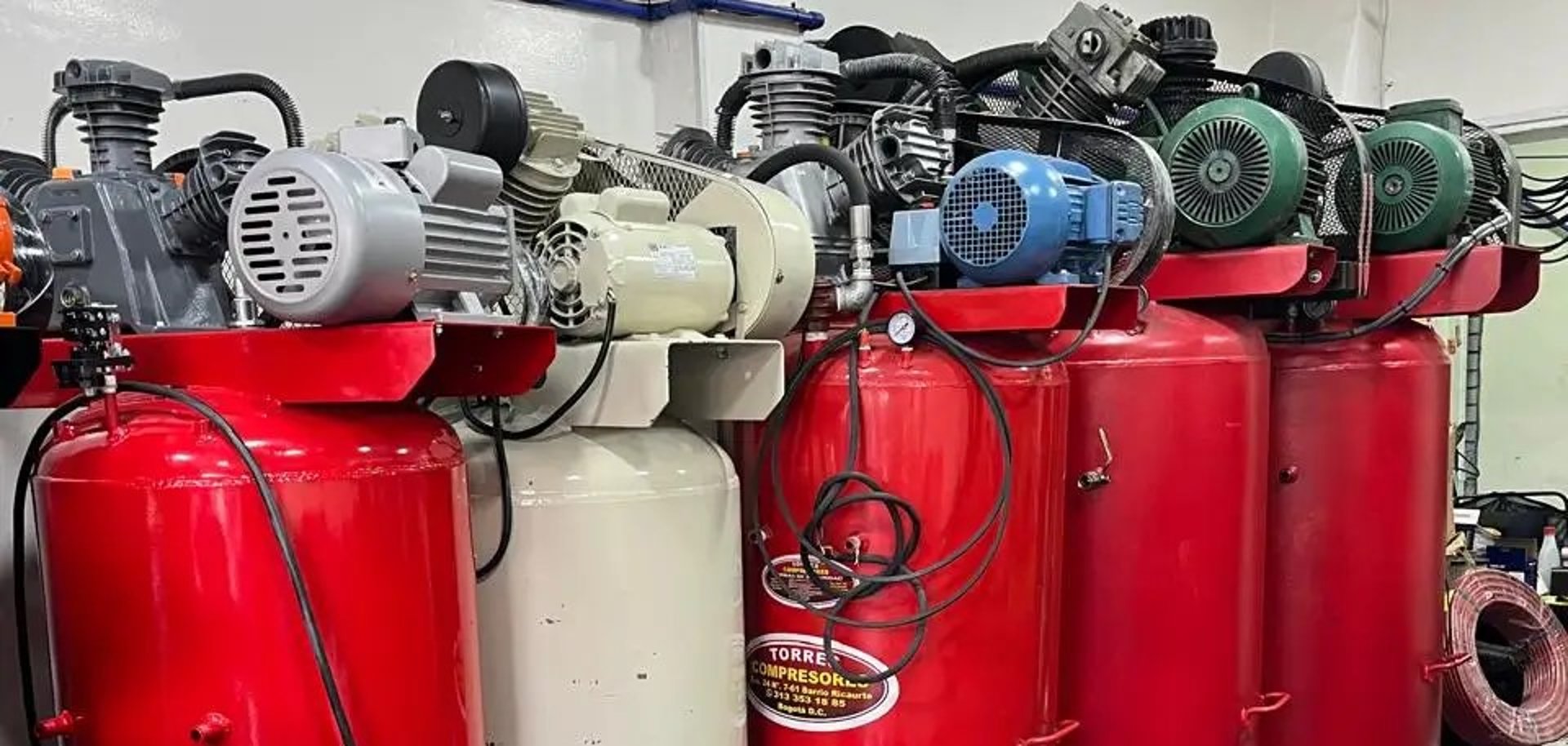woman holding dried flower