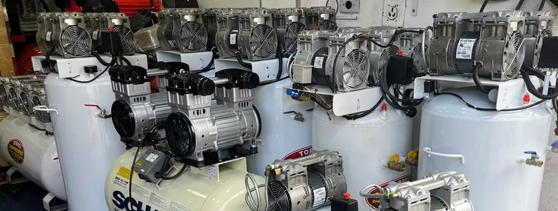 woman holding dried flower