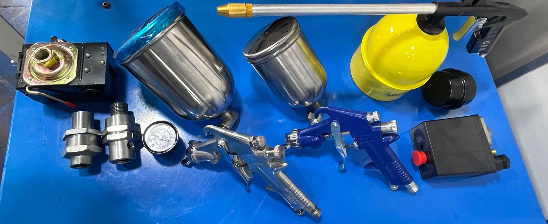 woman holding dried flower
