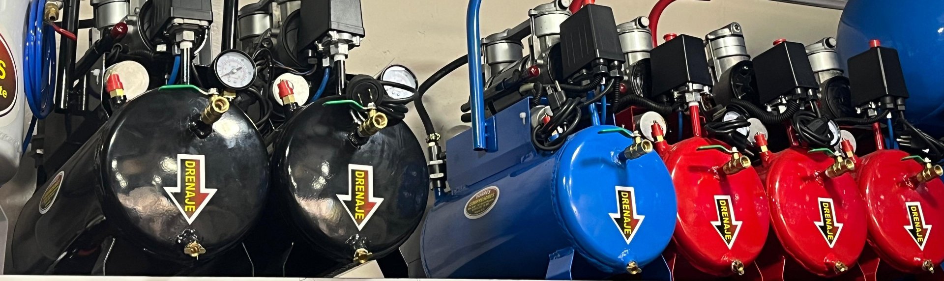 woman holding dried flower