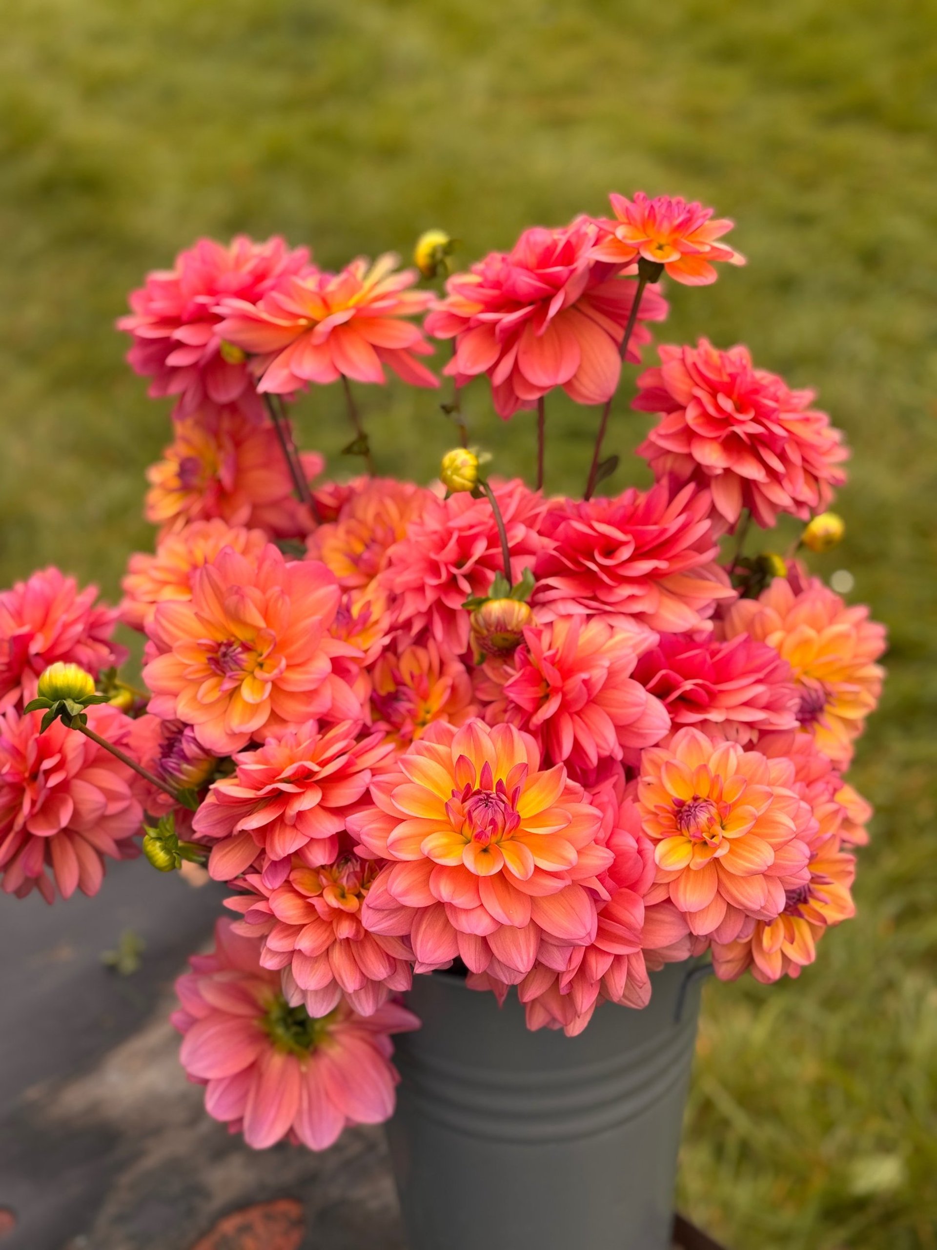 woman wearing yellow long-sleeved dress under white clouds and blue sky during daytime
