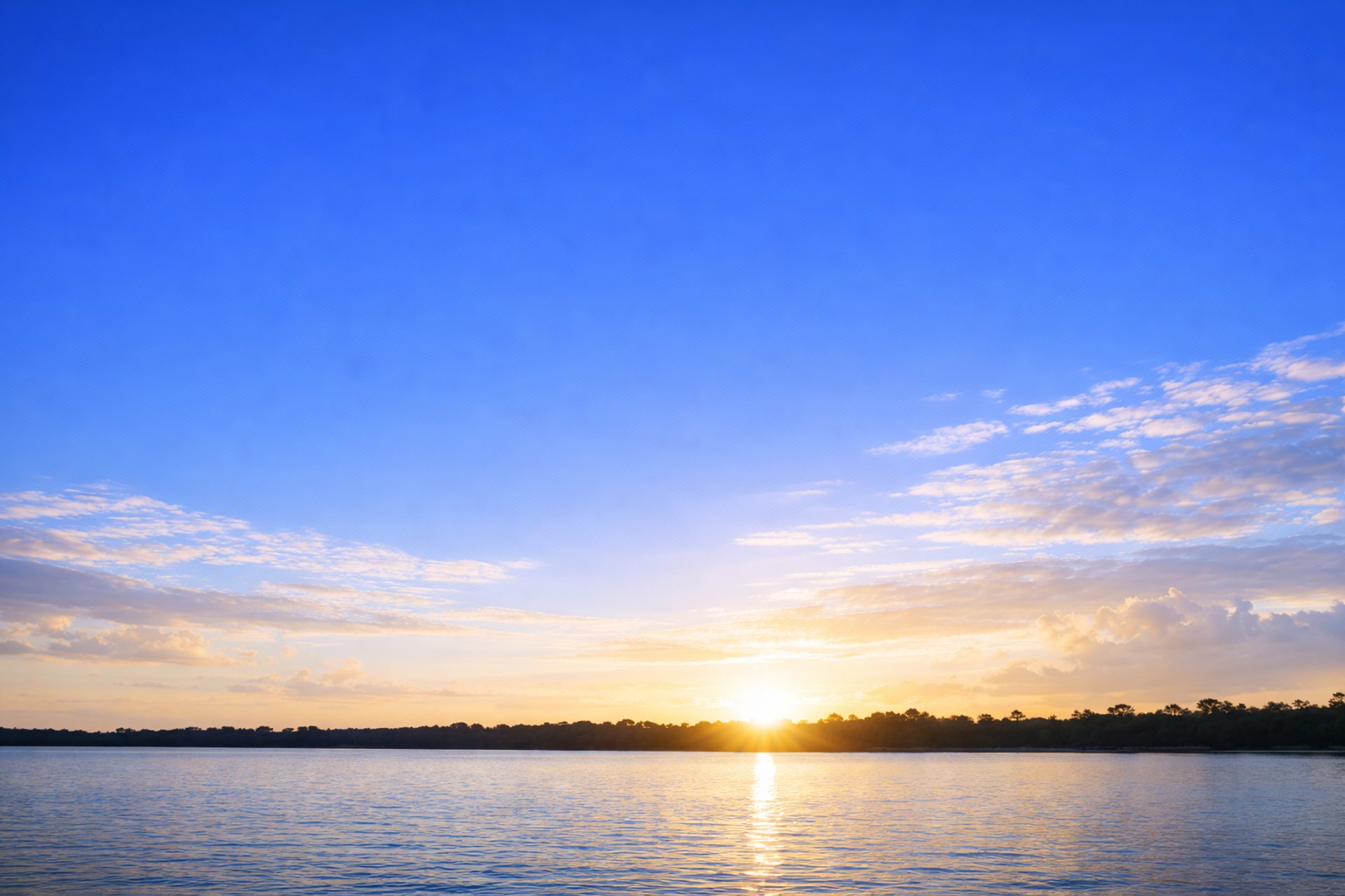 green, red, and white fireworks on sky at nighttime