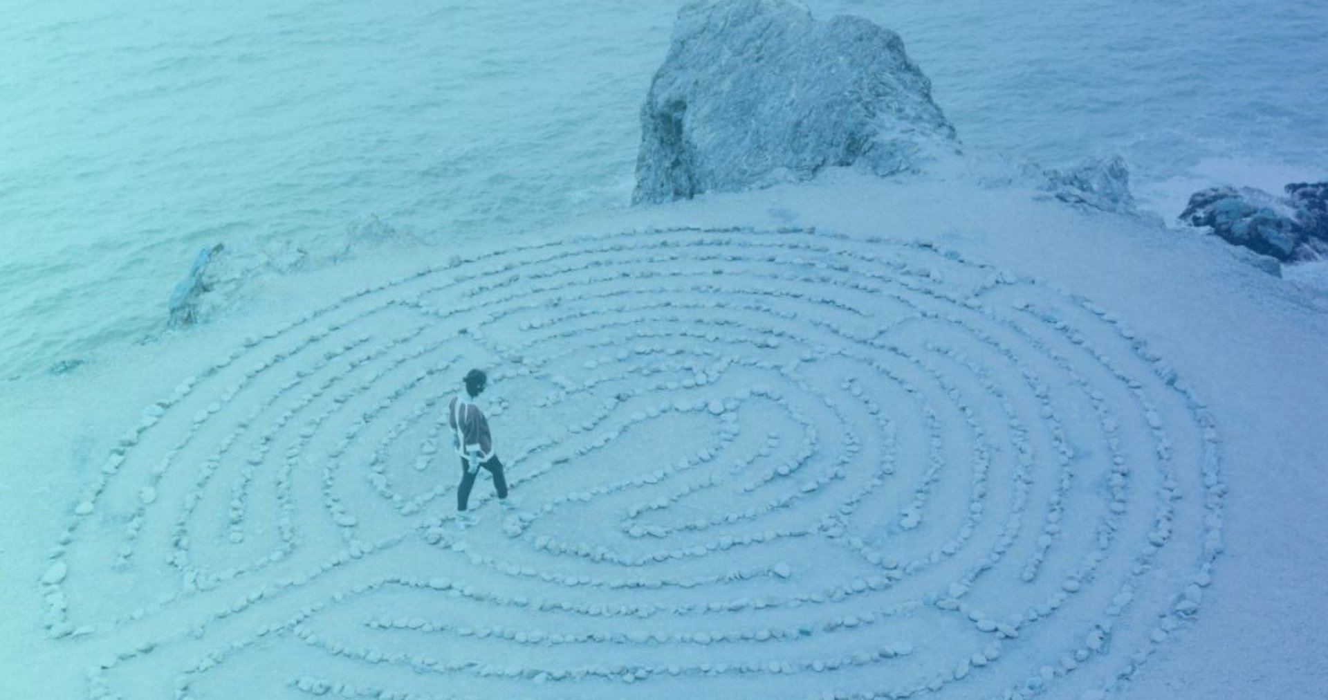 a group of people holding hands on top of a tree