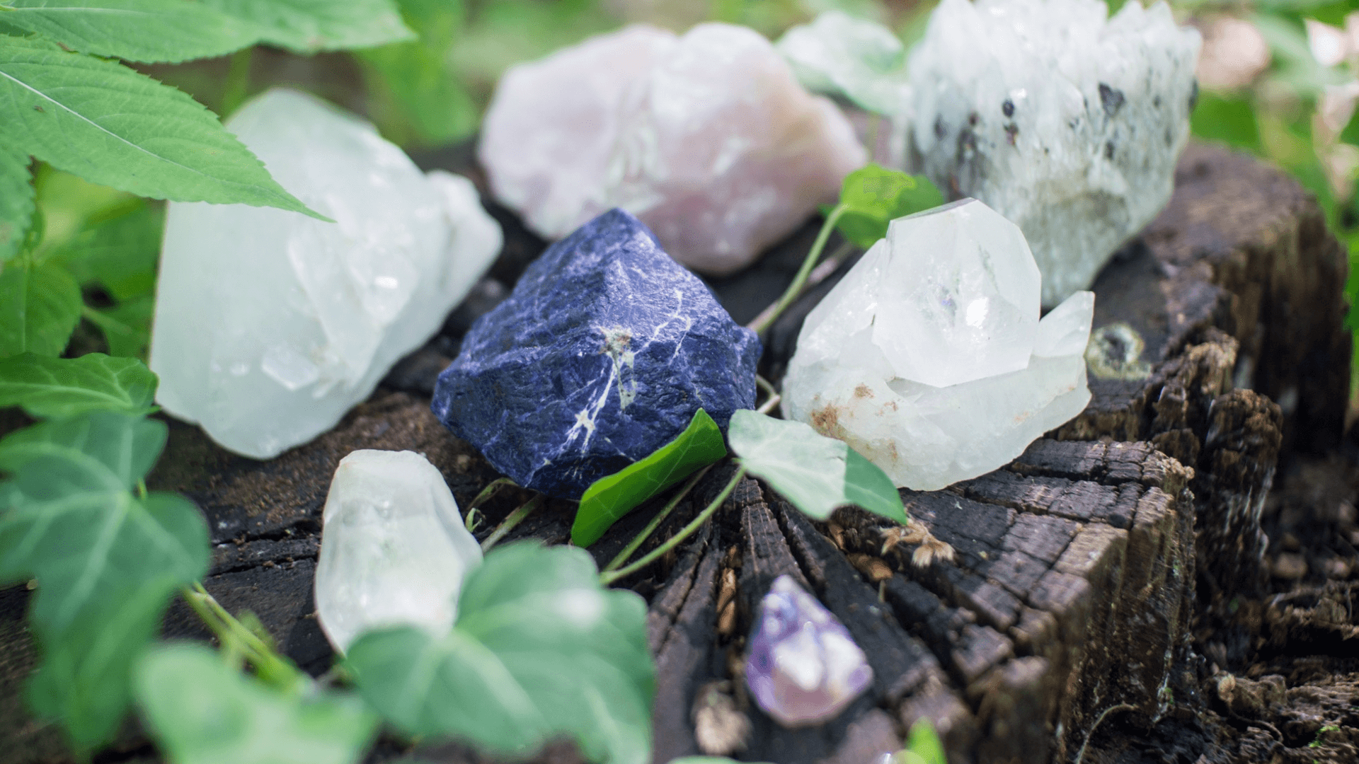 real crystals in woodland area