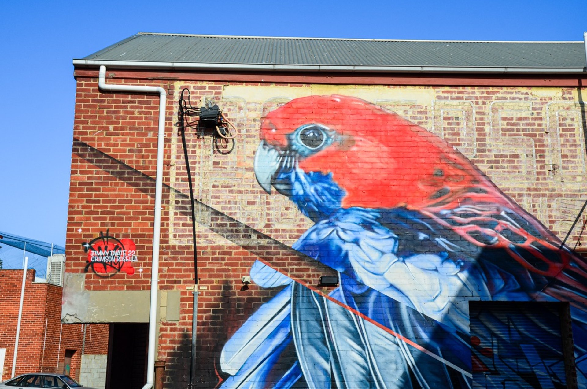 Mural by DVate in Frankston