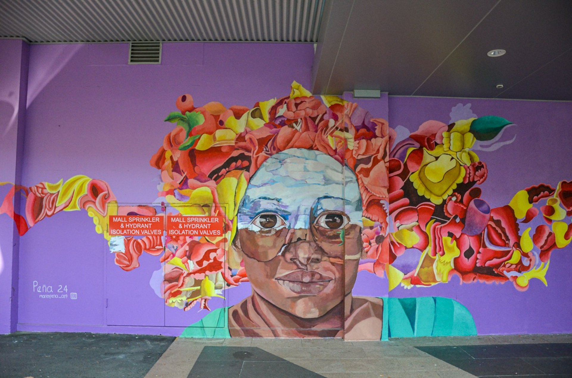 Mural by Maria Peña in Frankston