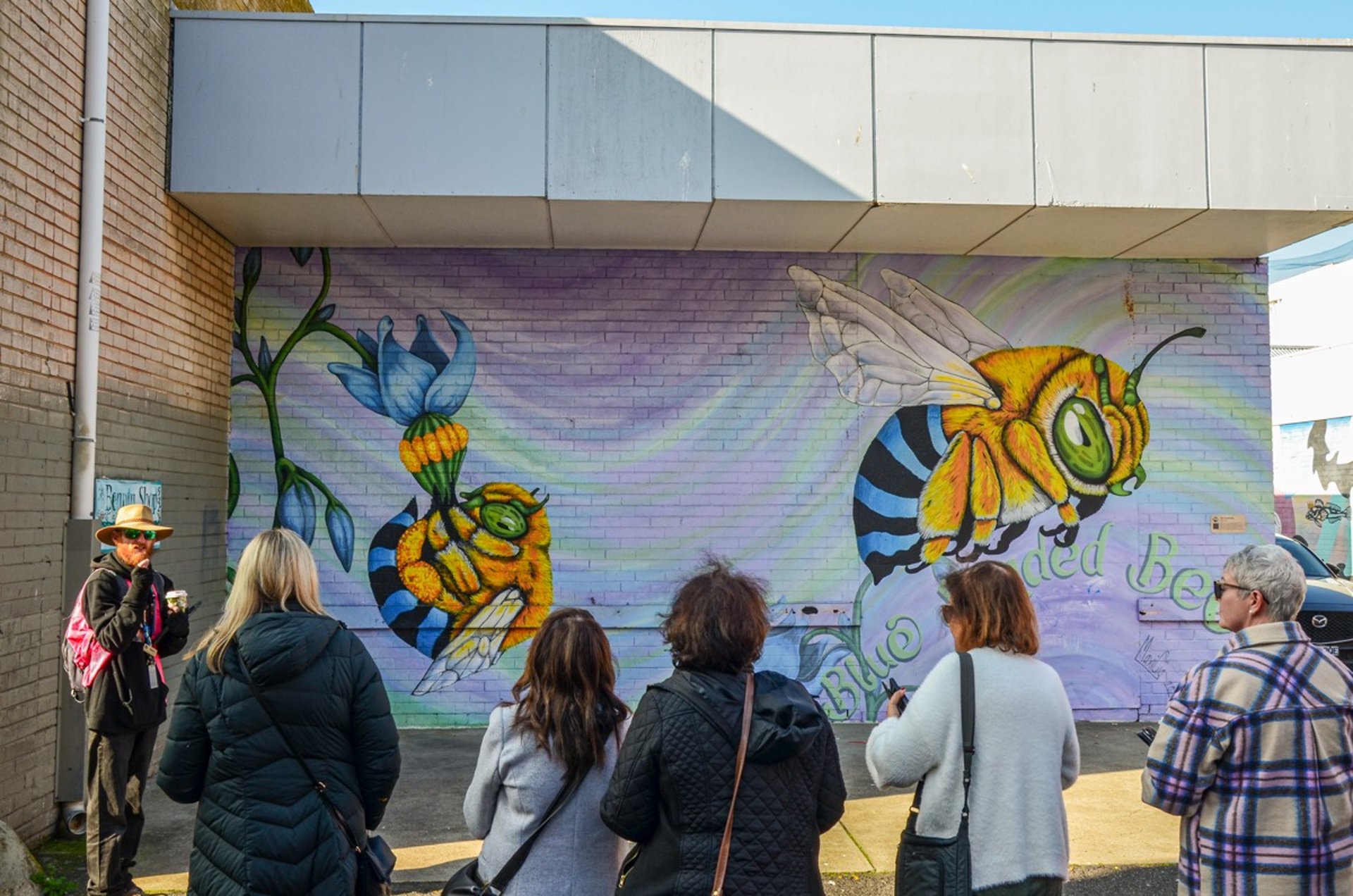 Street art tour in Frankston, mural by Maxine Gigliotti