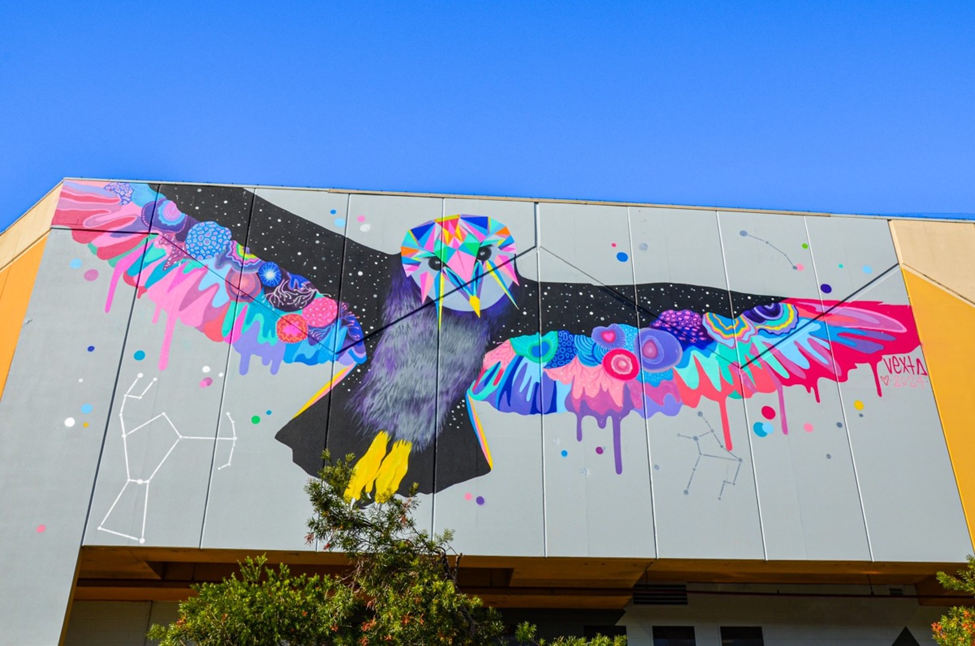 Mural by Vexta in Frankston