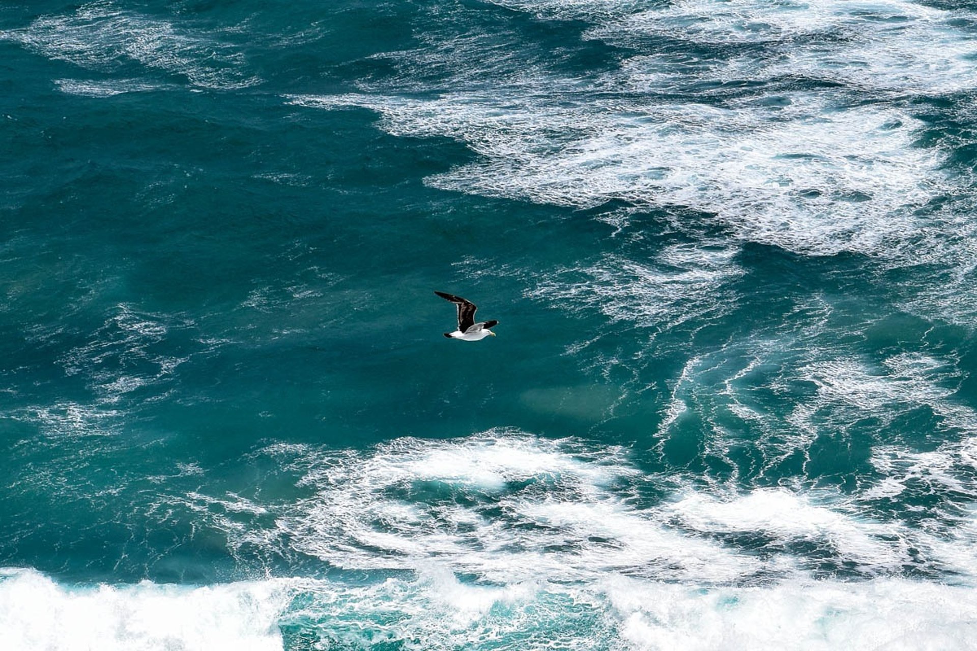 Great Ocean Road