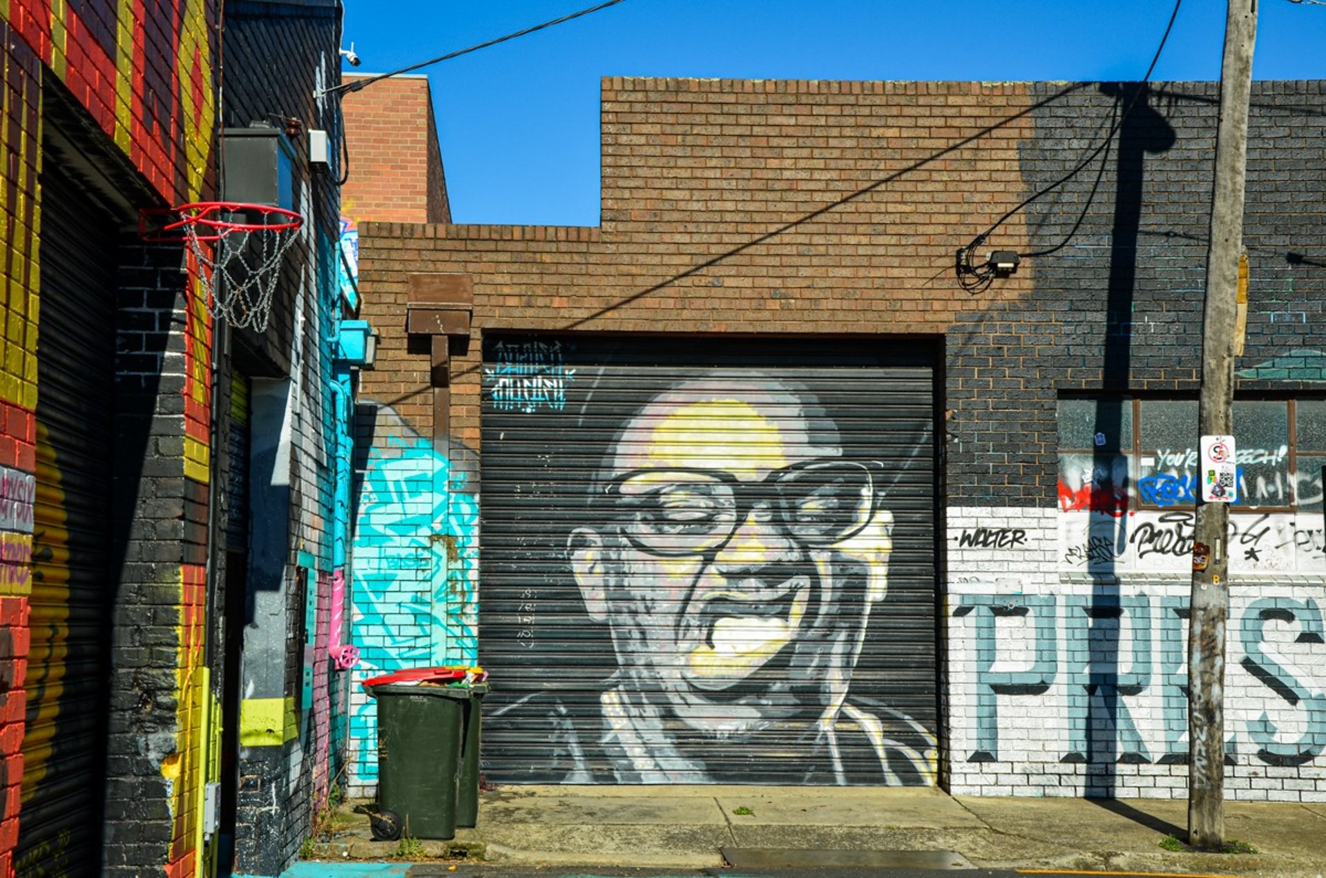 Mural by Damien Mitchell in Brunswick, Melbourne