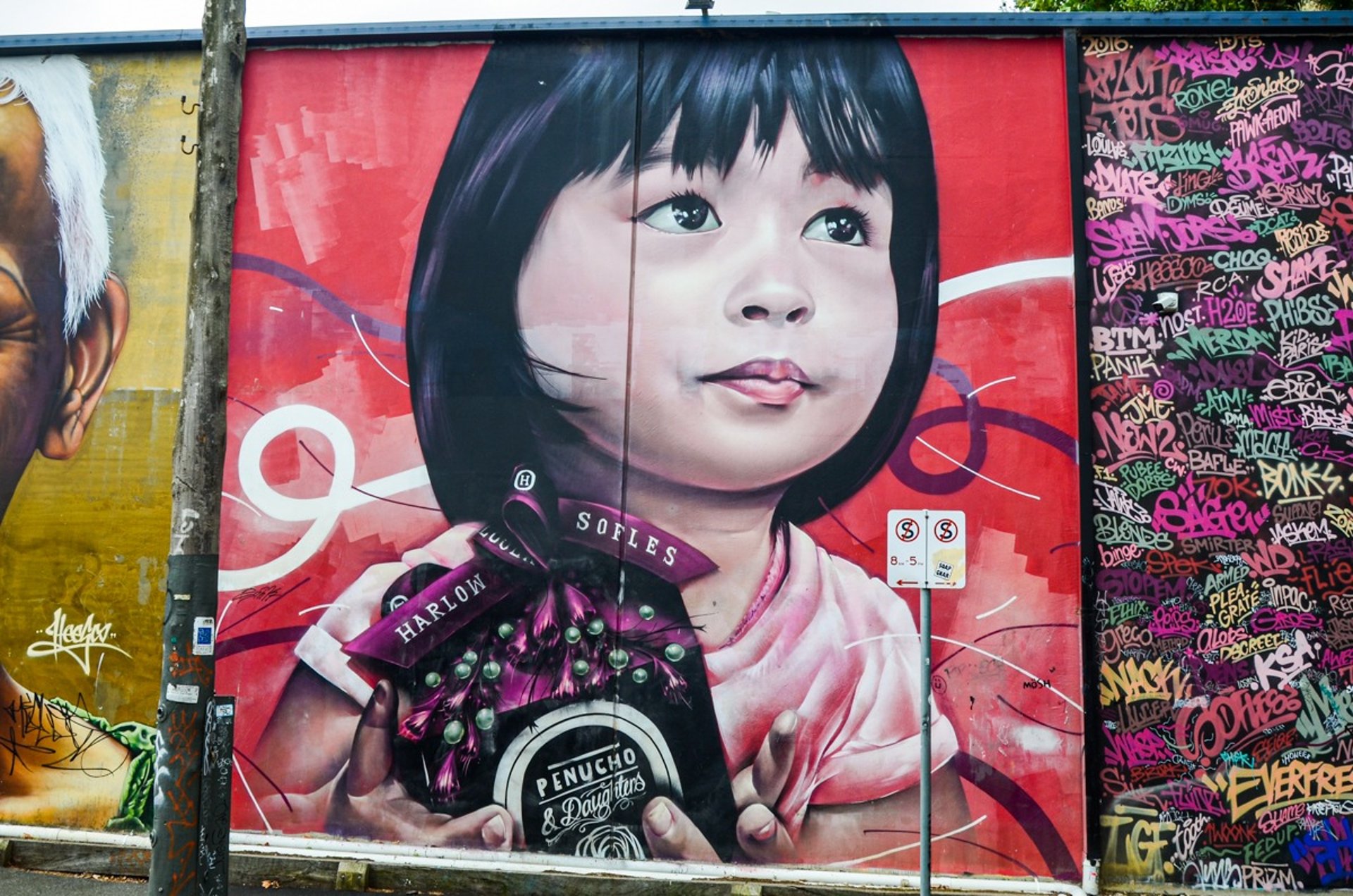 Street art by Sofles in Fitzroy, Melbourne