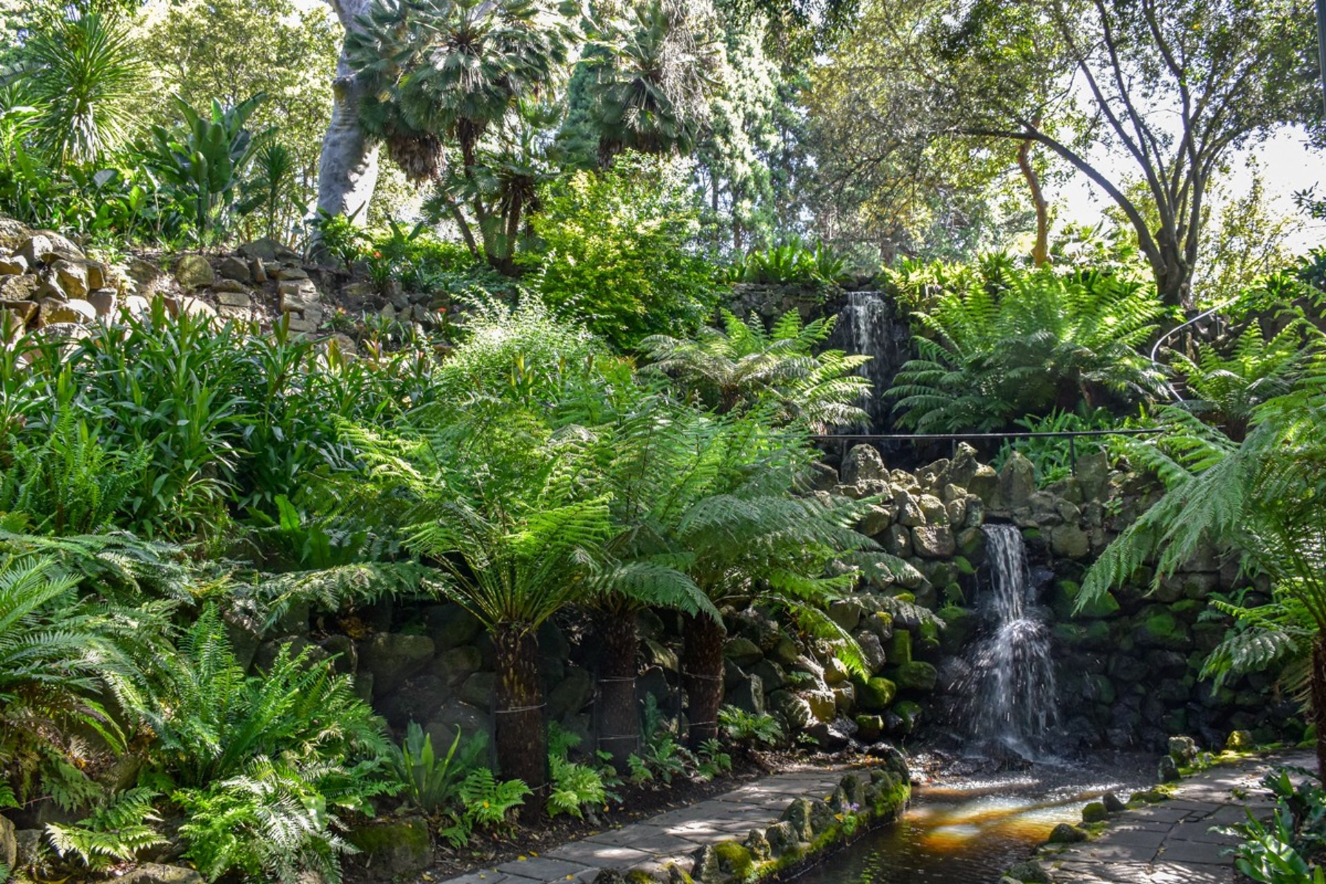 The Royal Botanic Gardens of Melbourne
