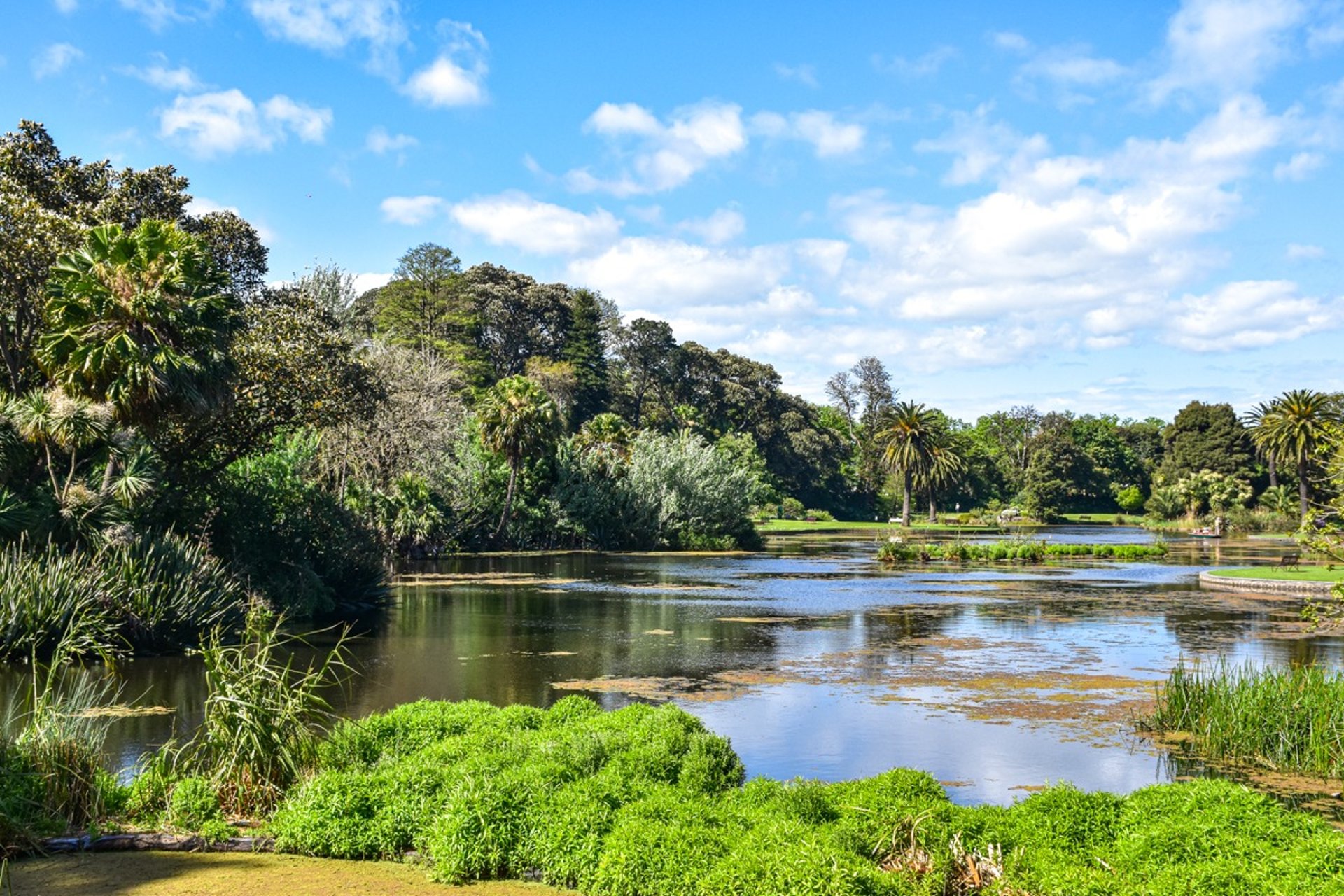 The ornamental lake of the Royal Botanic Gardens of Melbourne