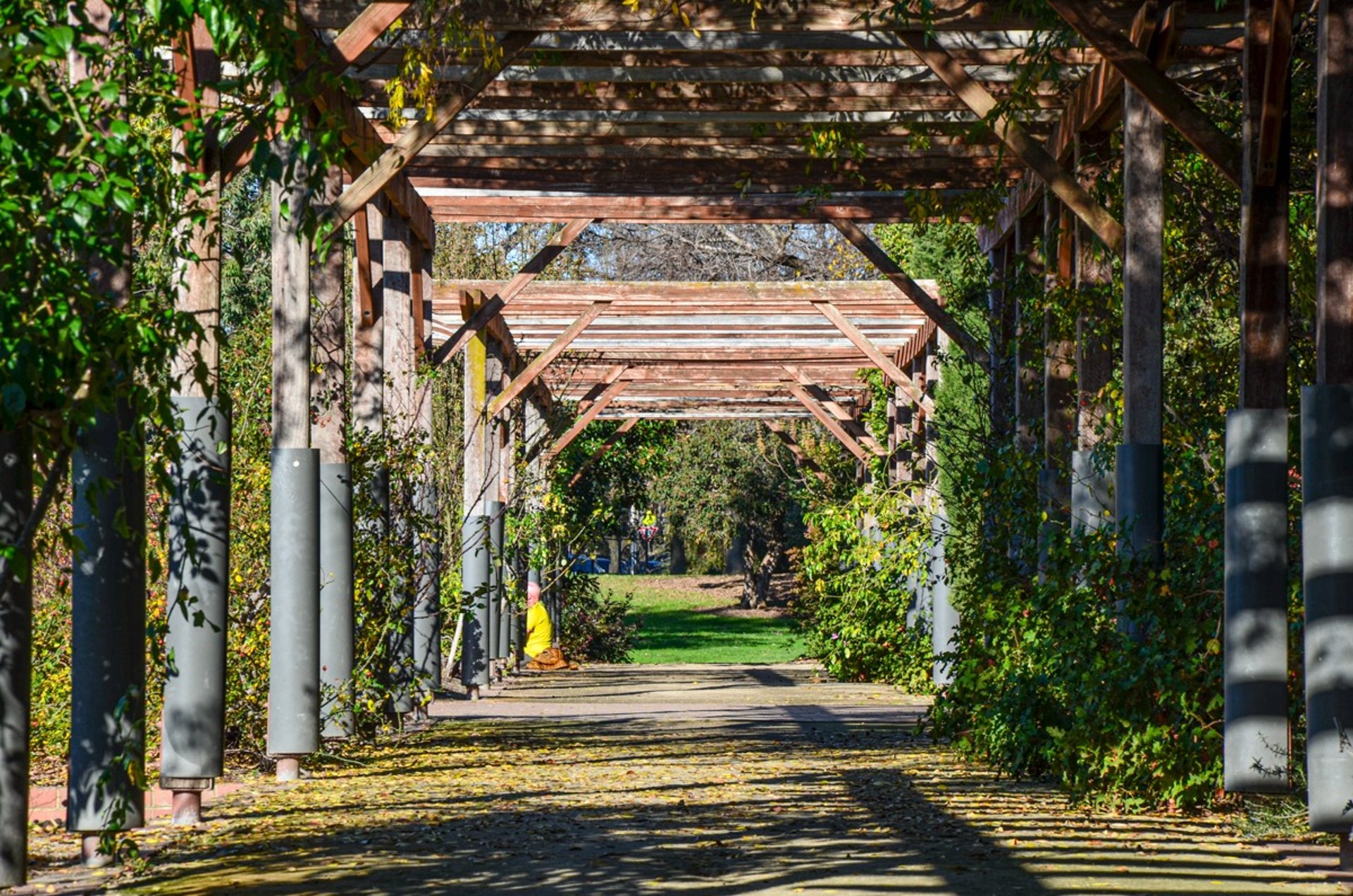 The St Kilda Botanic Gardens in Melbourne