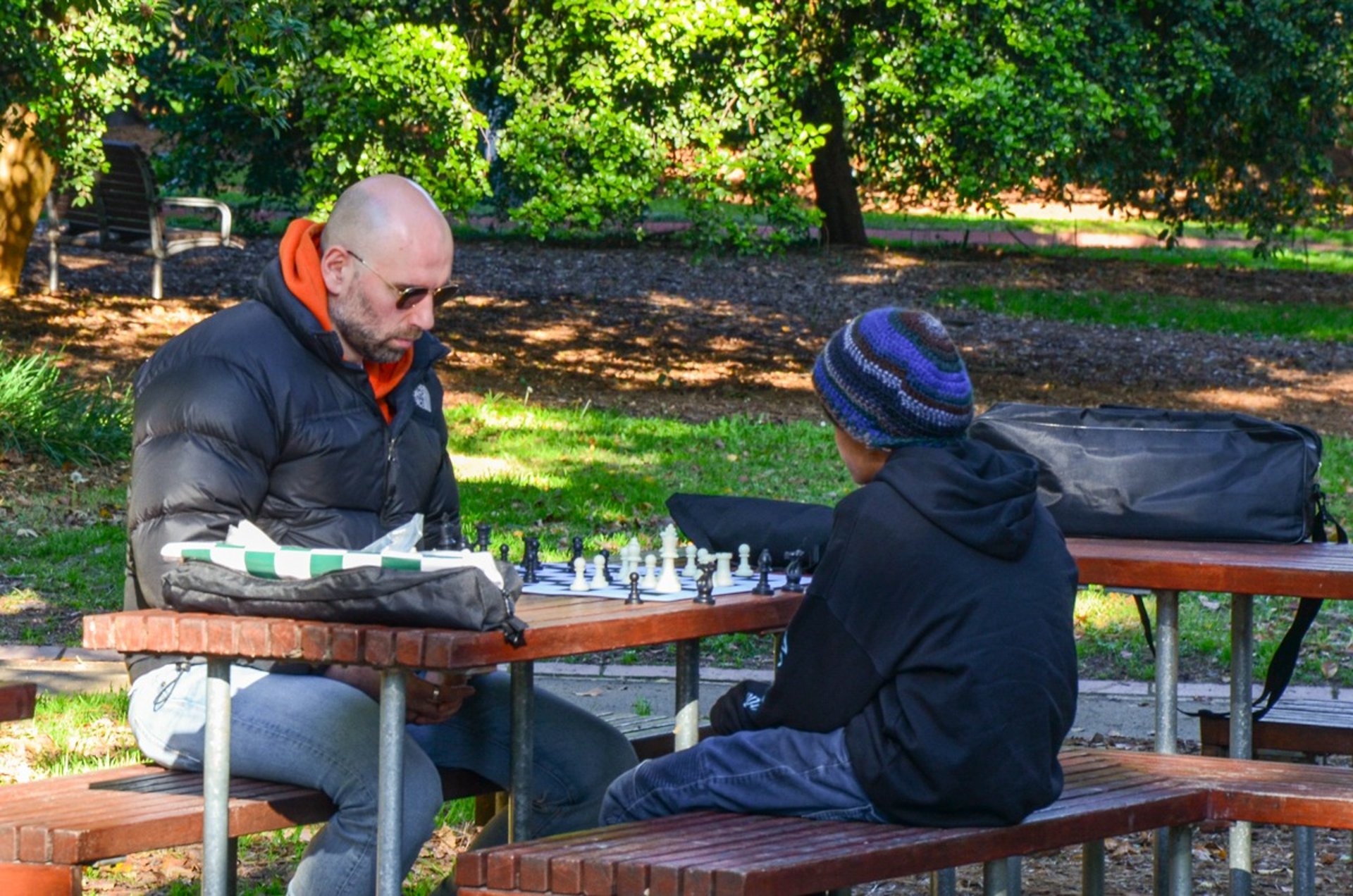 People playing chess in the St Kilda Botanic Gardens in Melbourne