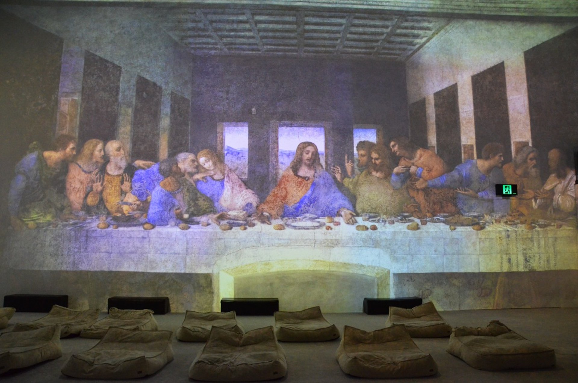 Leonardo da Vinci at The Lume Melbourne