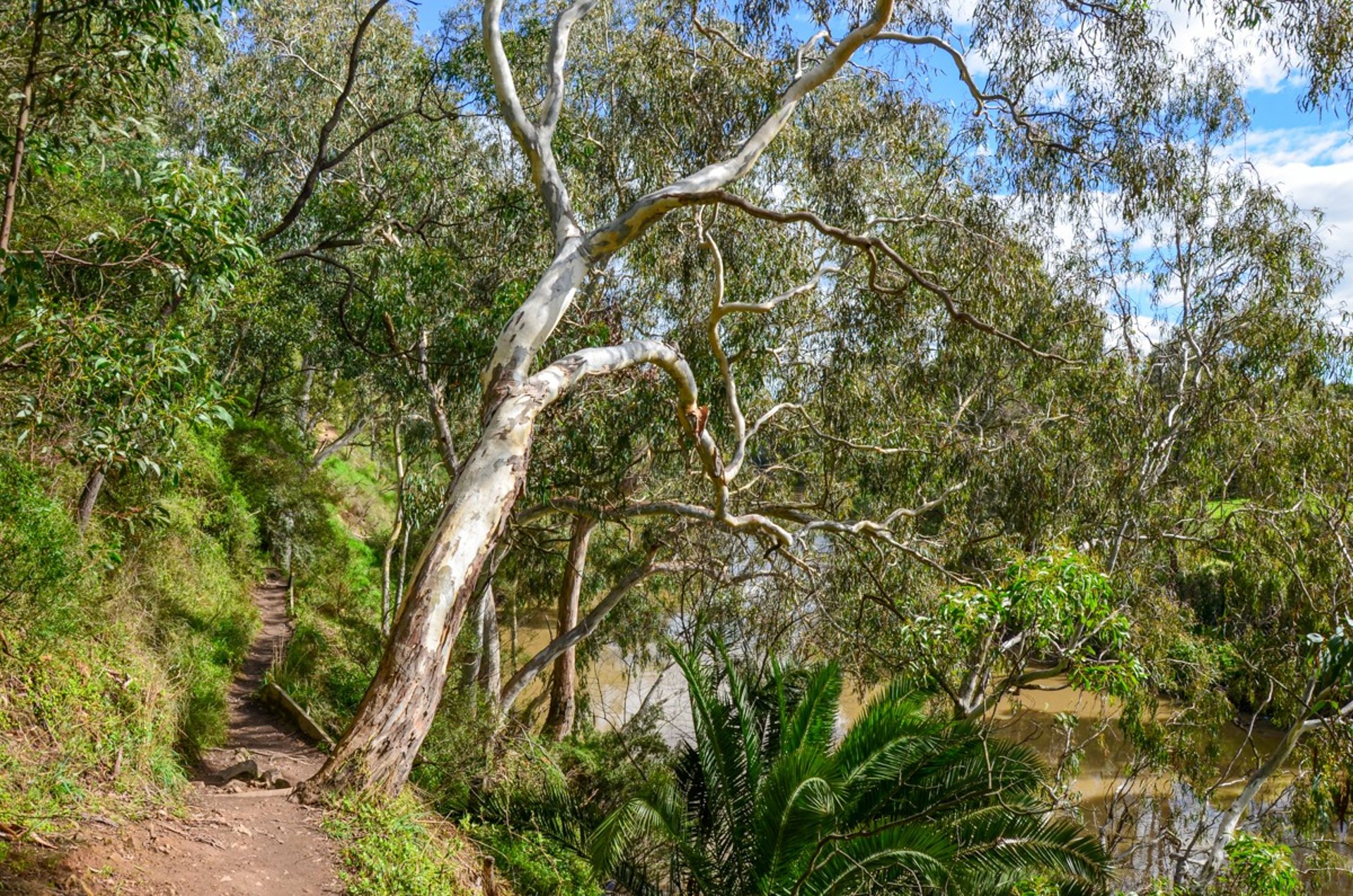 Yarra Bend Park in Melbourne