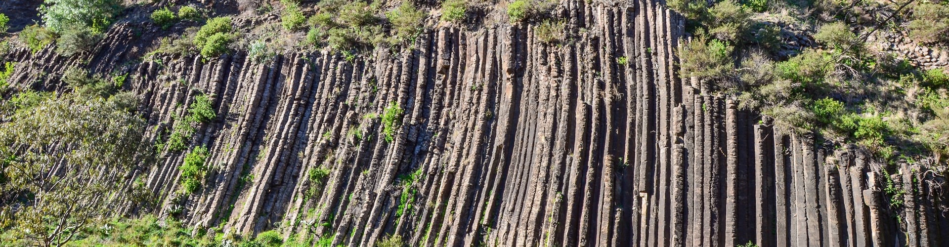 Organ Pipes National Park