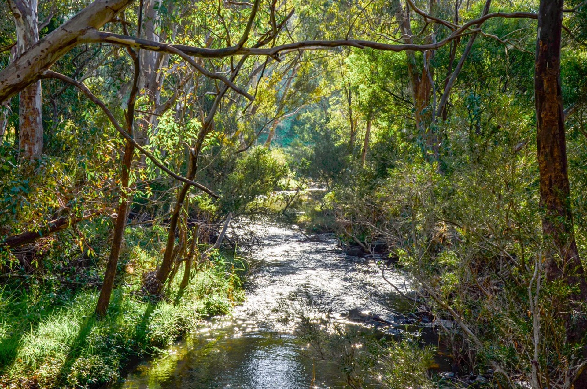 Jacksons Creek, Organ Pipes National Park