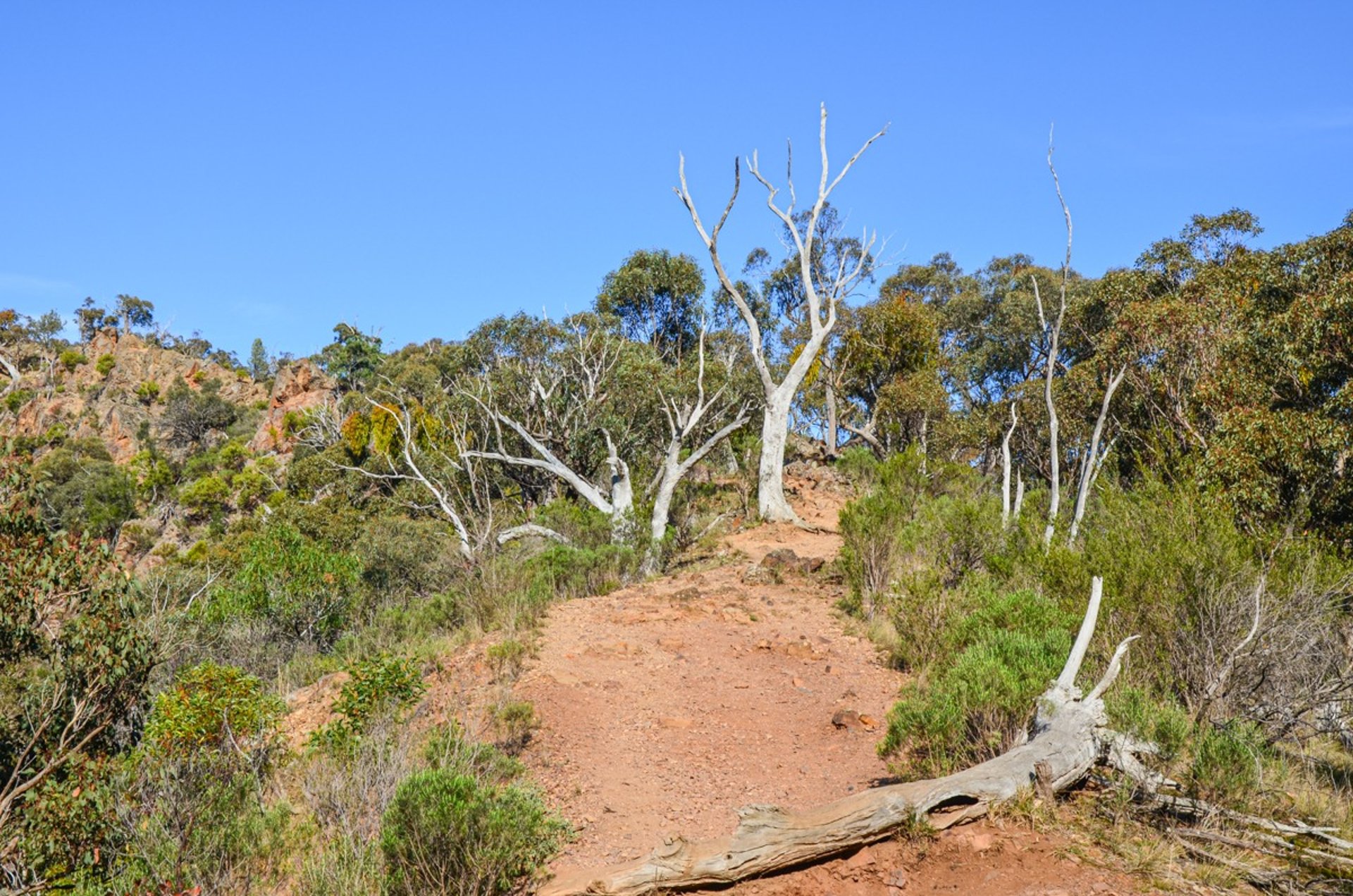 Werribee Gorge State Park