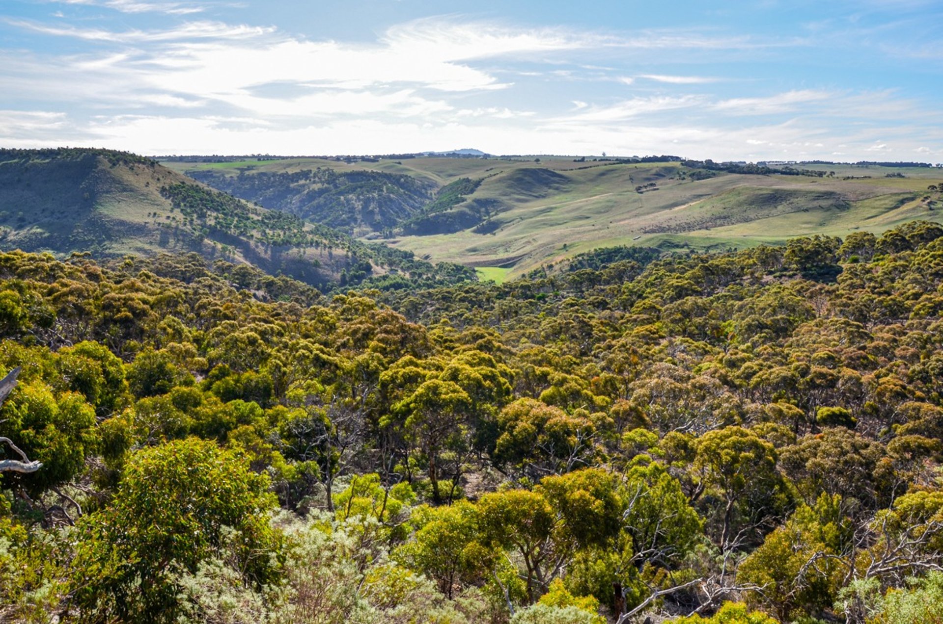 Werribee Gorge State Park