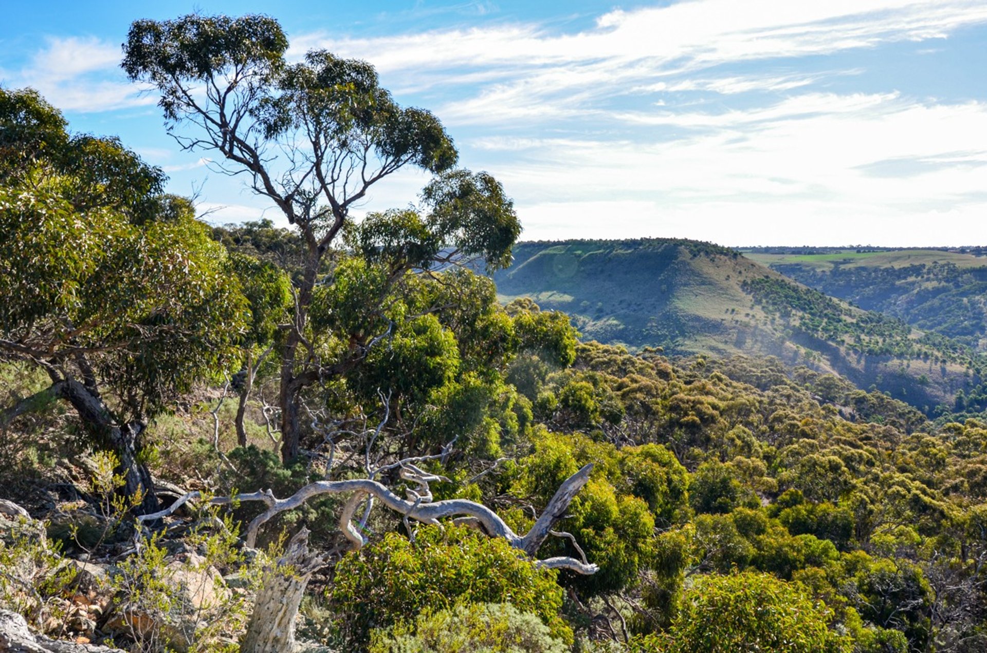 Werribee Gorge State Park