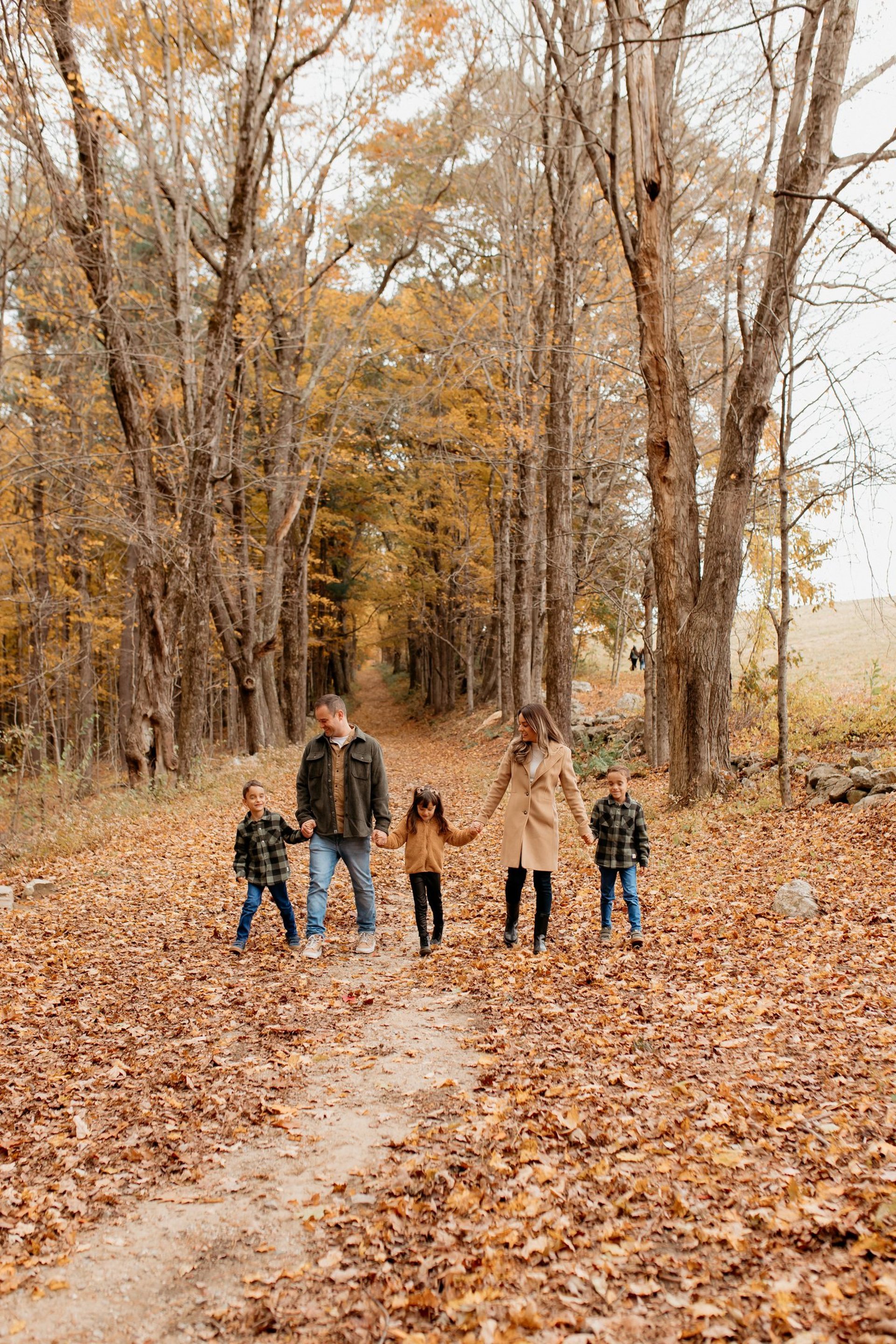 brown wooden house near lake surrounded by green trees during daytime